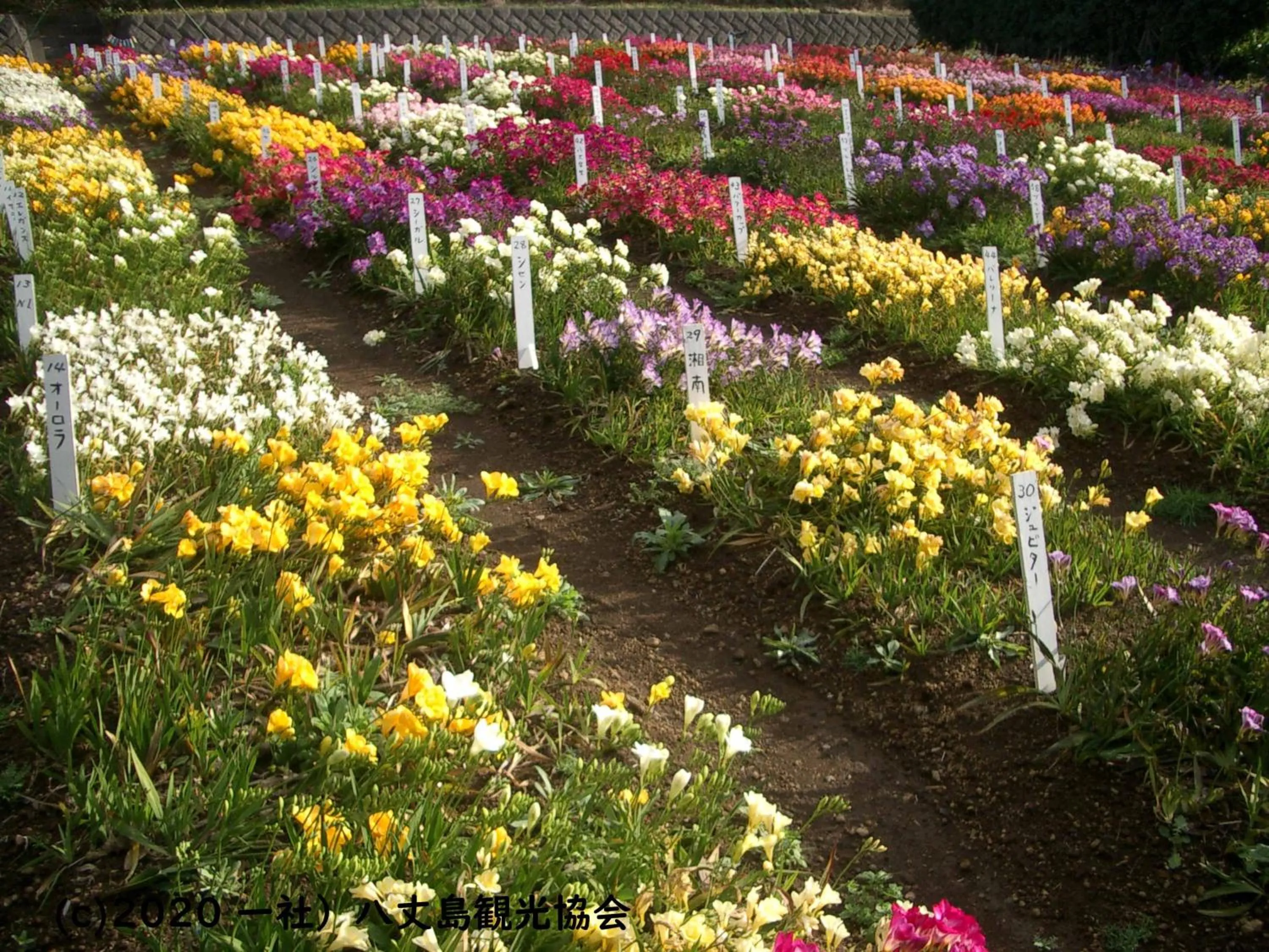 Nearby landmark in Kokumin Shukusha Sun Marina