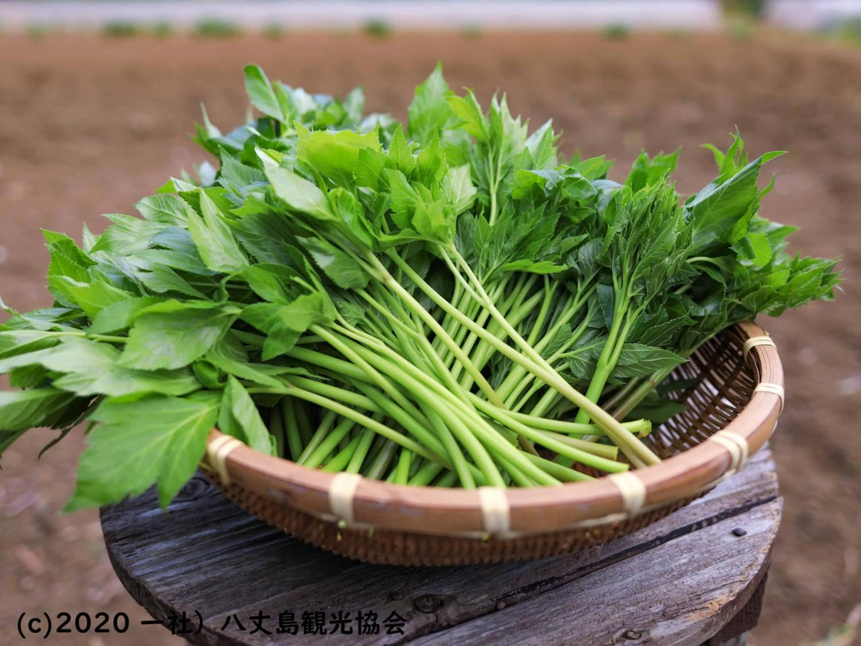 Nearby landmark in Kokumin Shukusha Sun Marina