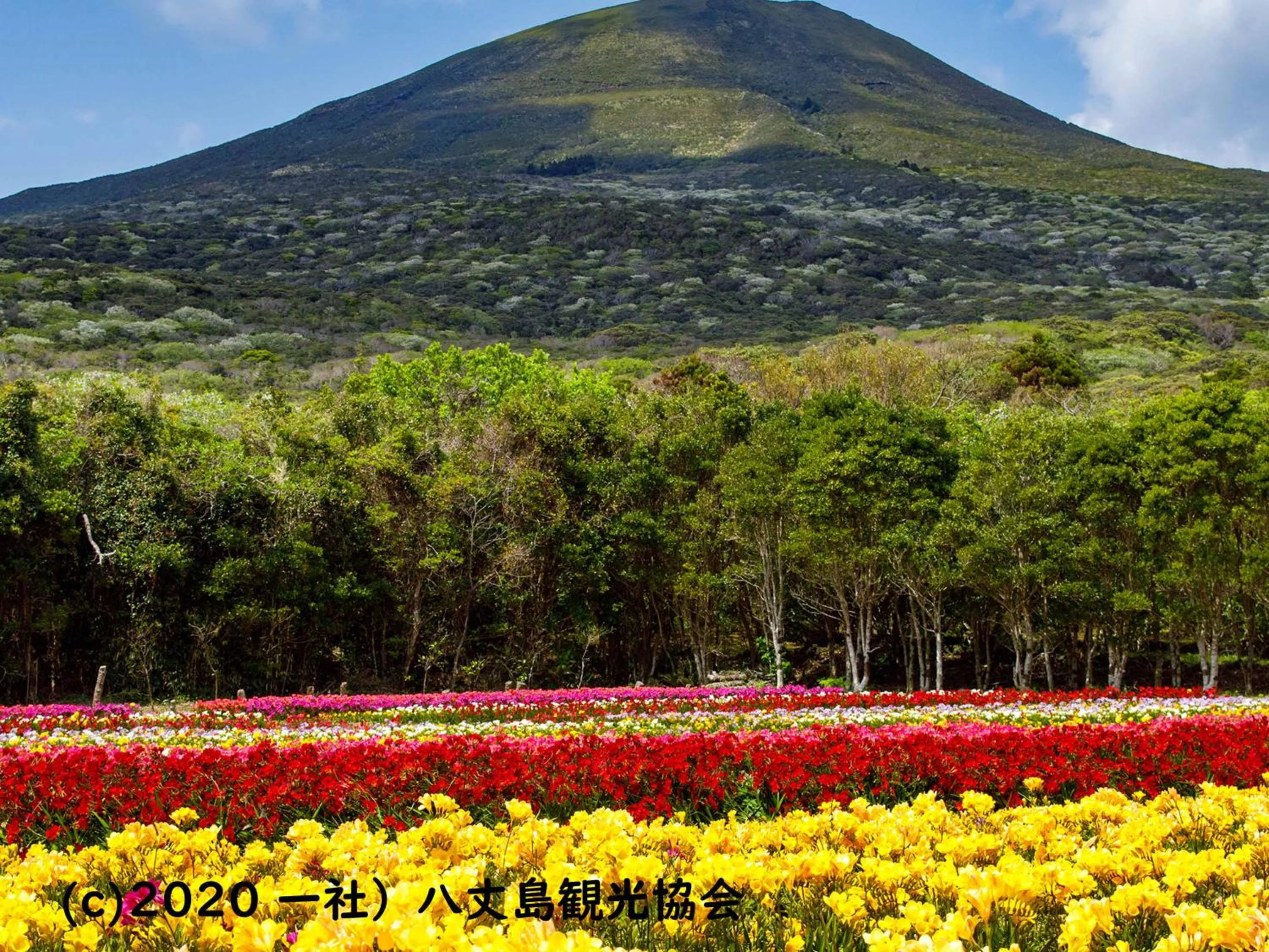 Nearby landmark in Kokumin Shukusha Sun Marina