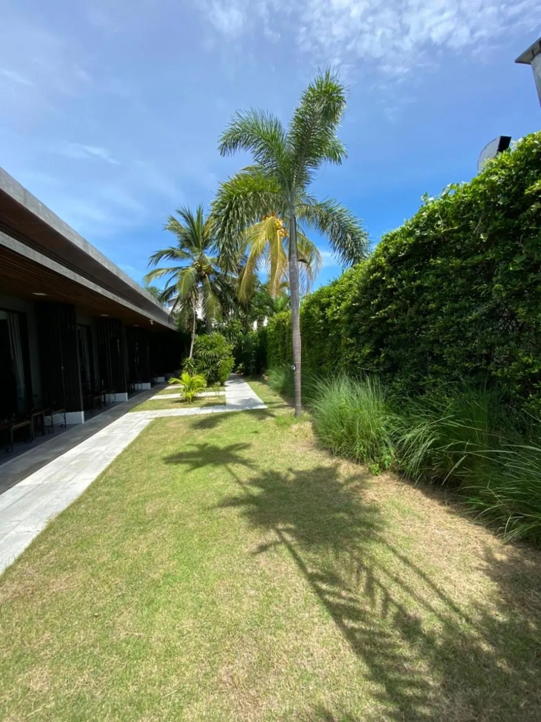 Garden in The CHESS Samui