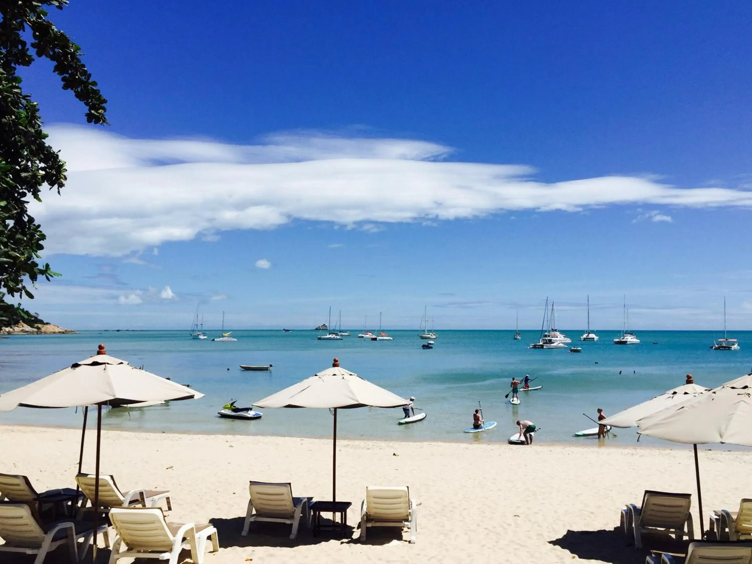 Restaurant/places to eat in PS Thana Resort Restaurant/places to eat in PS Thana Resort