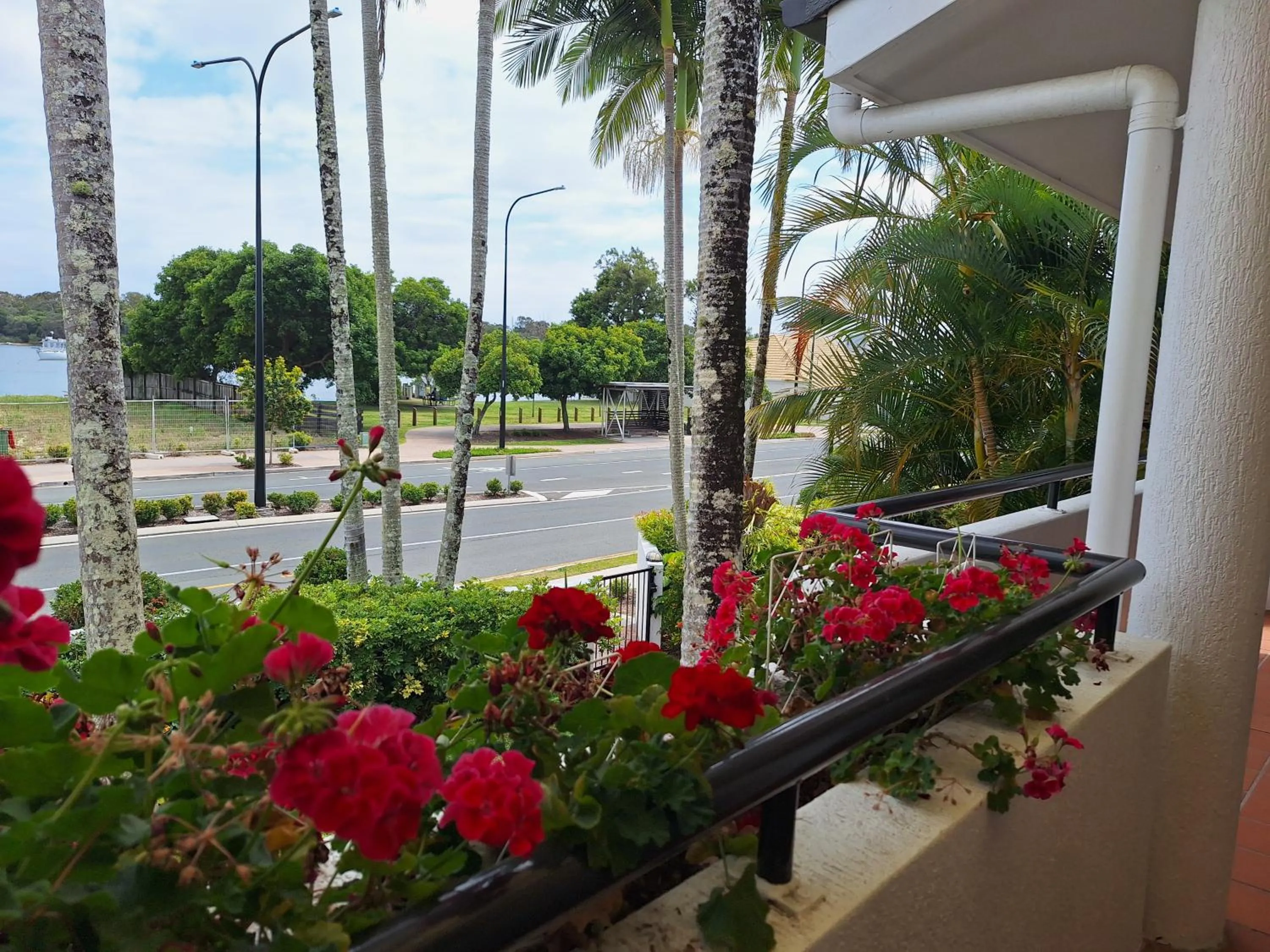 Garden in The Noosa Apartments