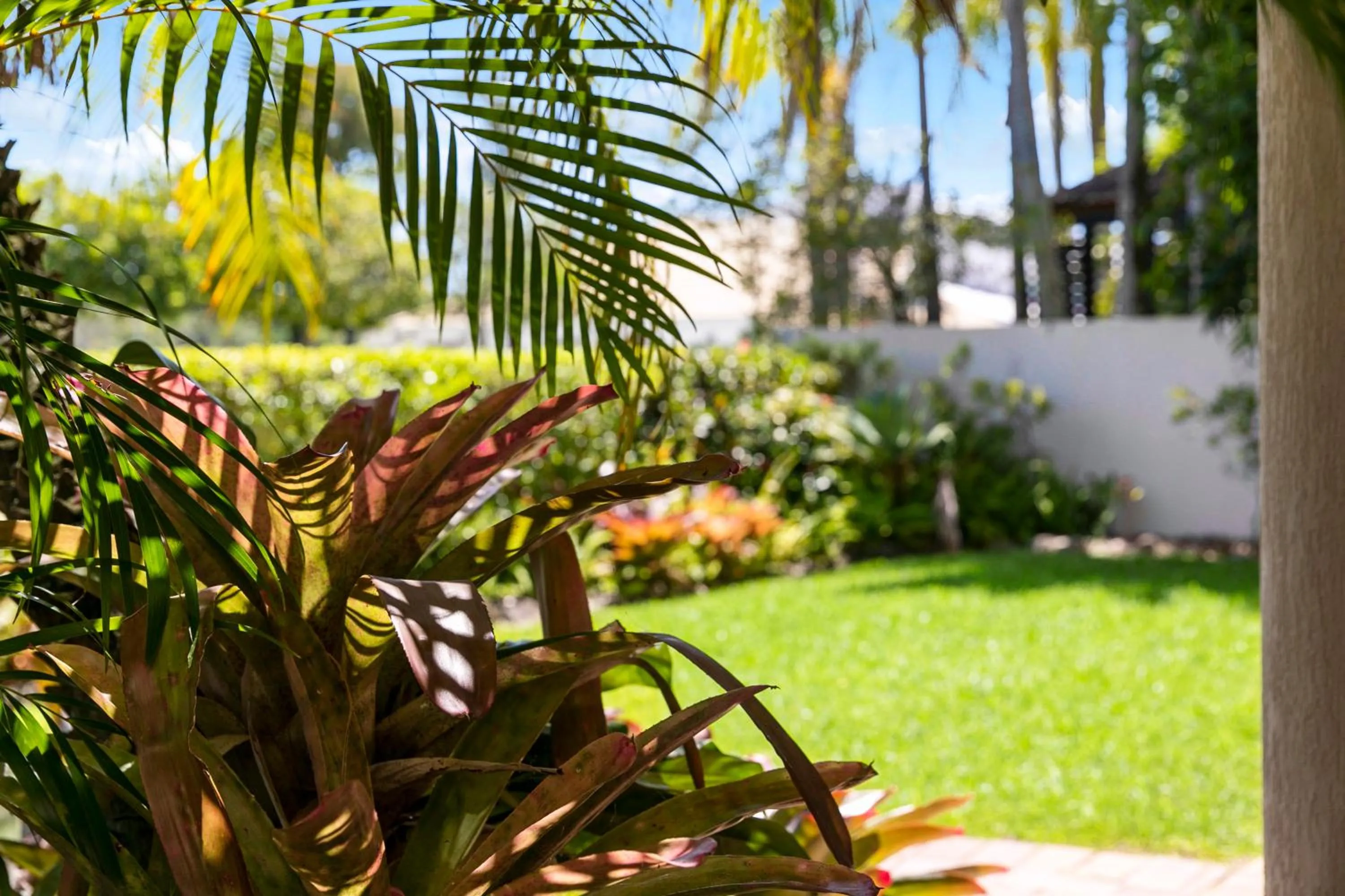 Garden in The Noosa Apartments