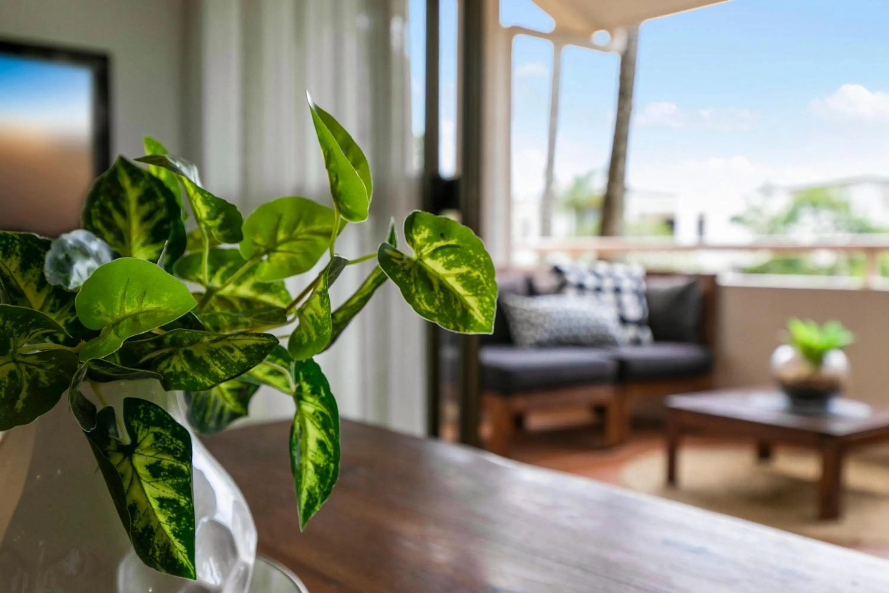 Balcony/Terrace in The Noosa Apartments