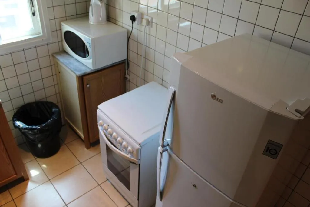 Kitchen or kitchenette in Terrace Furnished Apartments- Fintas1