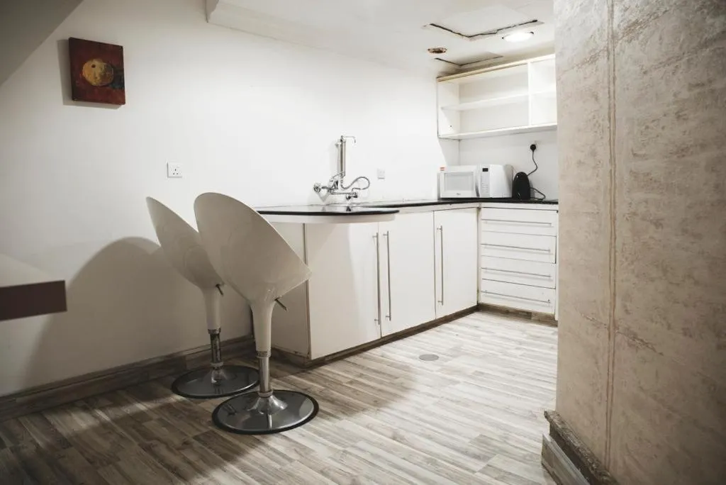 Kitchen or kitchenette in Terrace Furnished Apartments- Fintas1