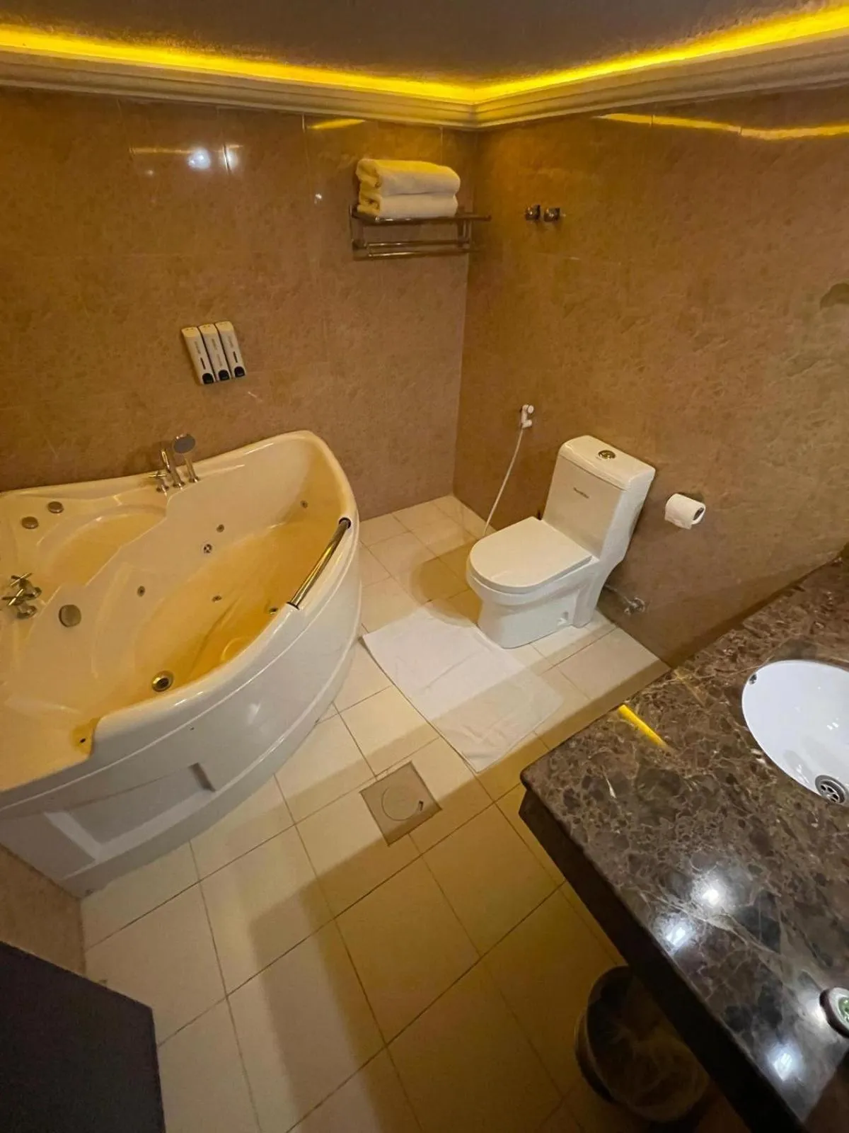 Toilet in Terrace Furnished Apartments- Fintas1