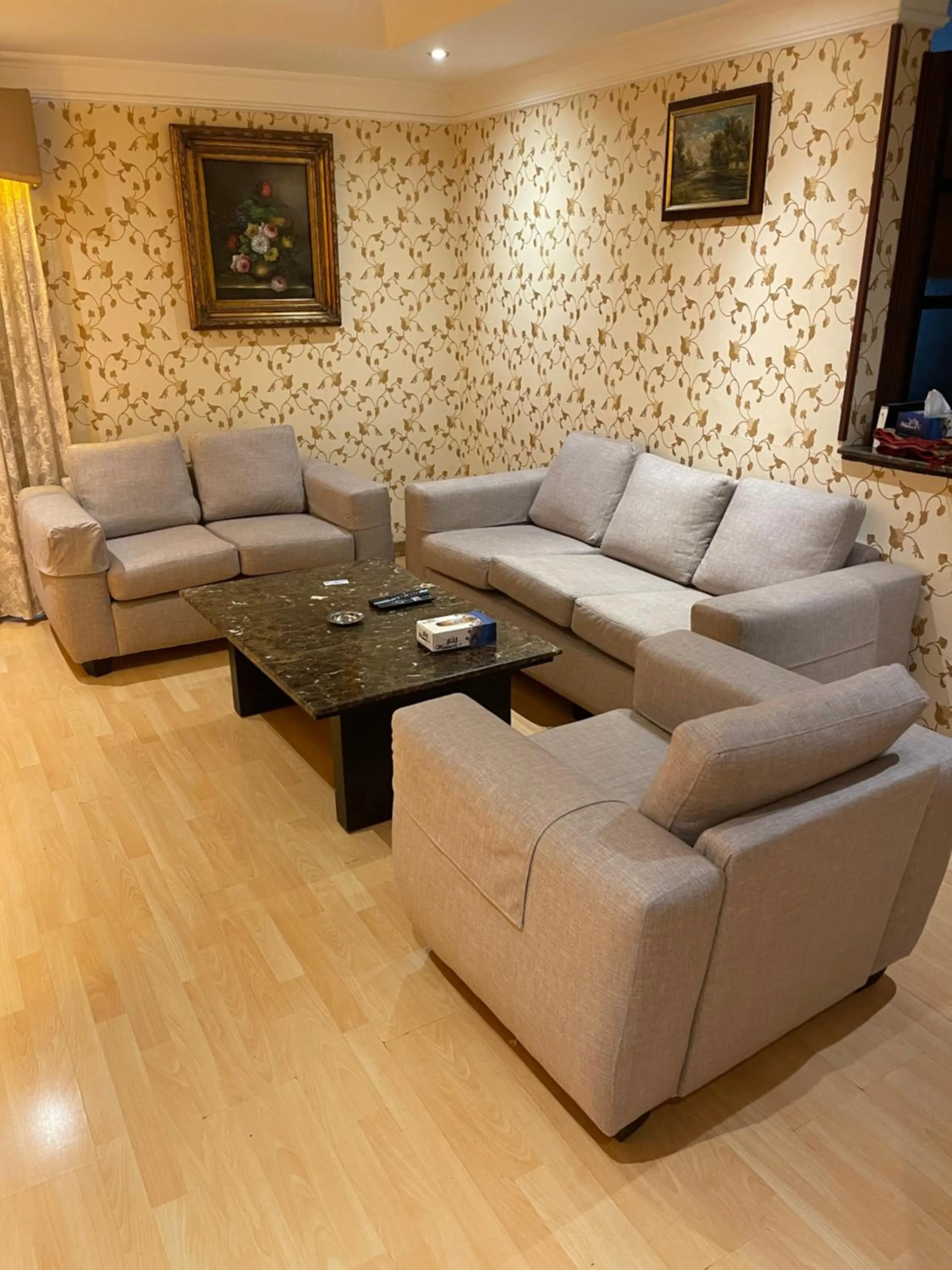 Living room in Terrace Furnished Apartments- Fintas1