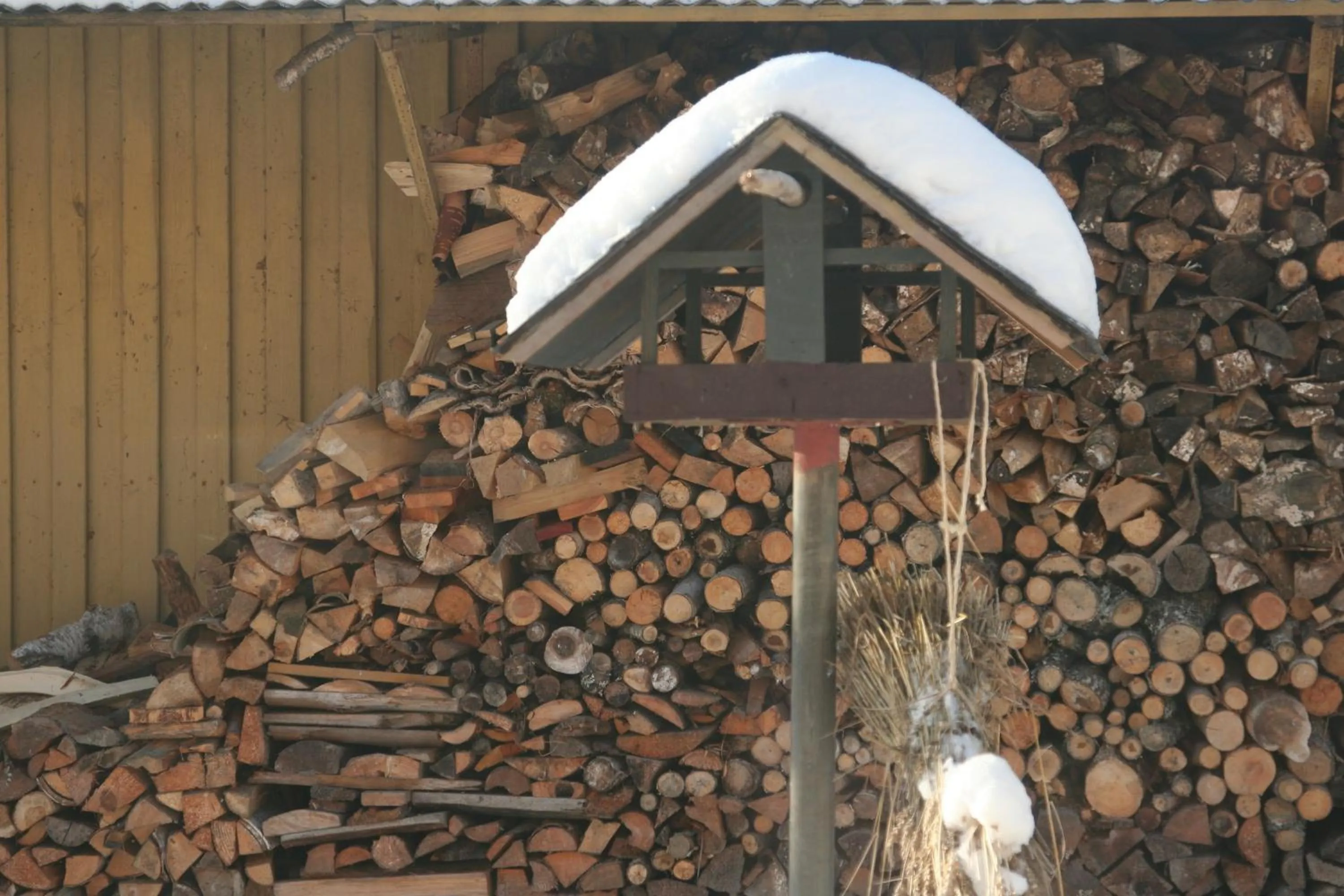 Facade/entrance in Bed & Breakfast Björkhyddan