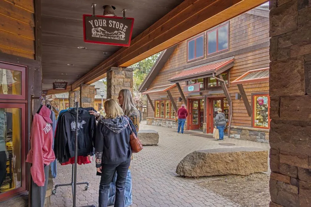 Pine Needle - Unit 7