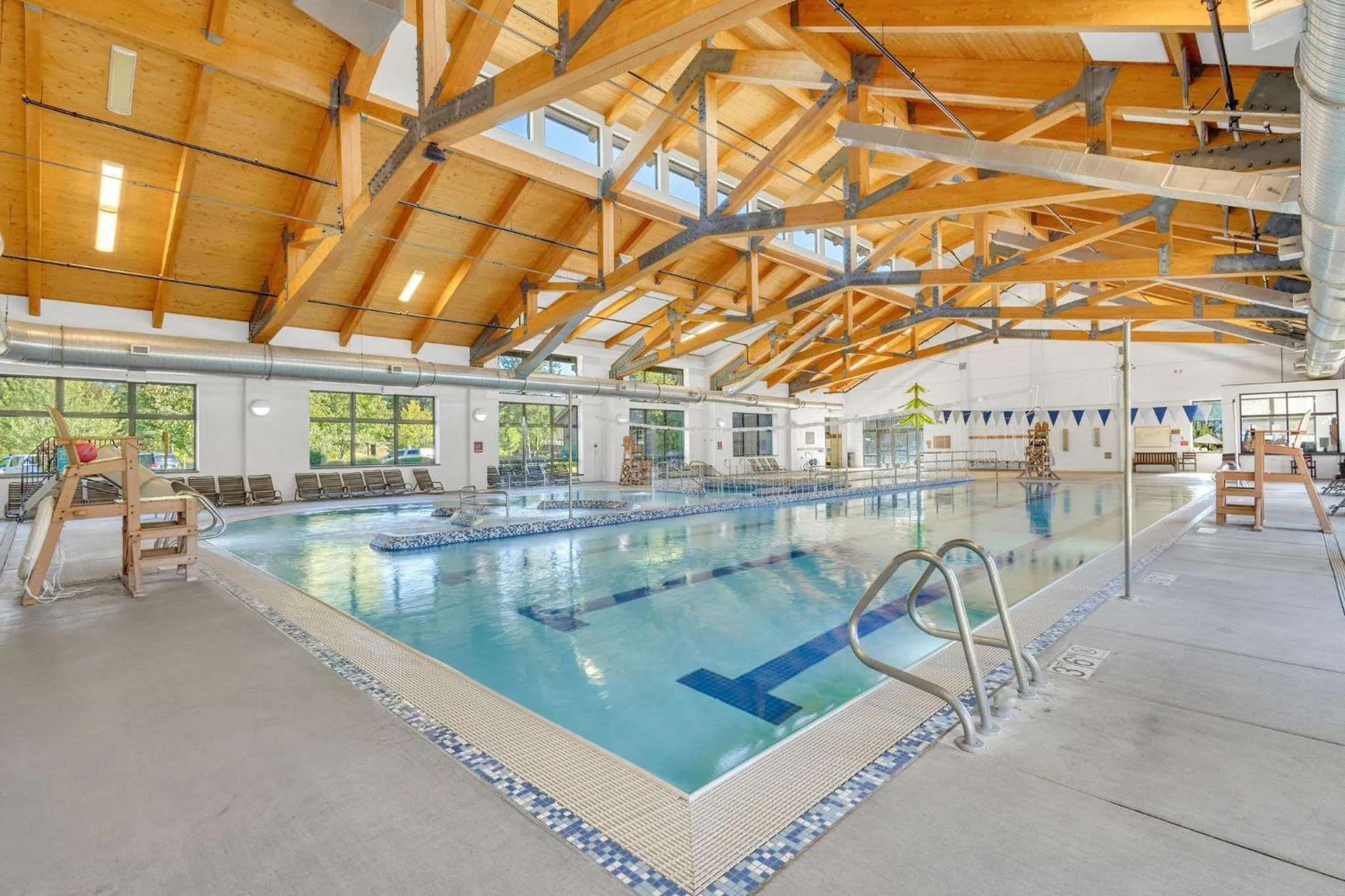 Pine Needle - Unit 7