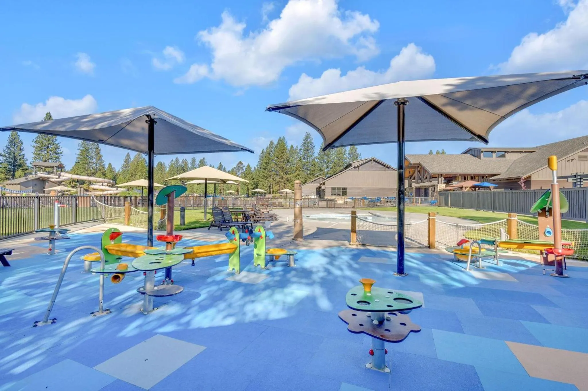 Pine Needle - Unit 7