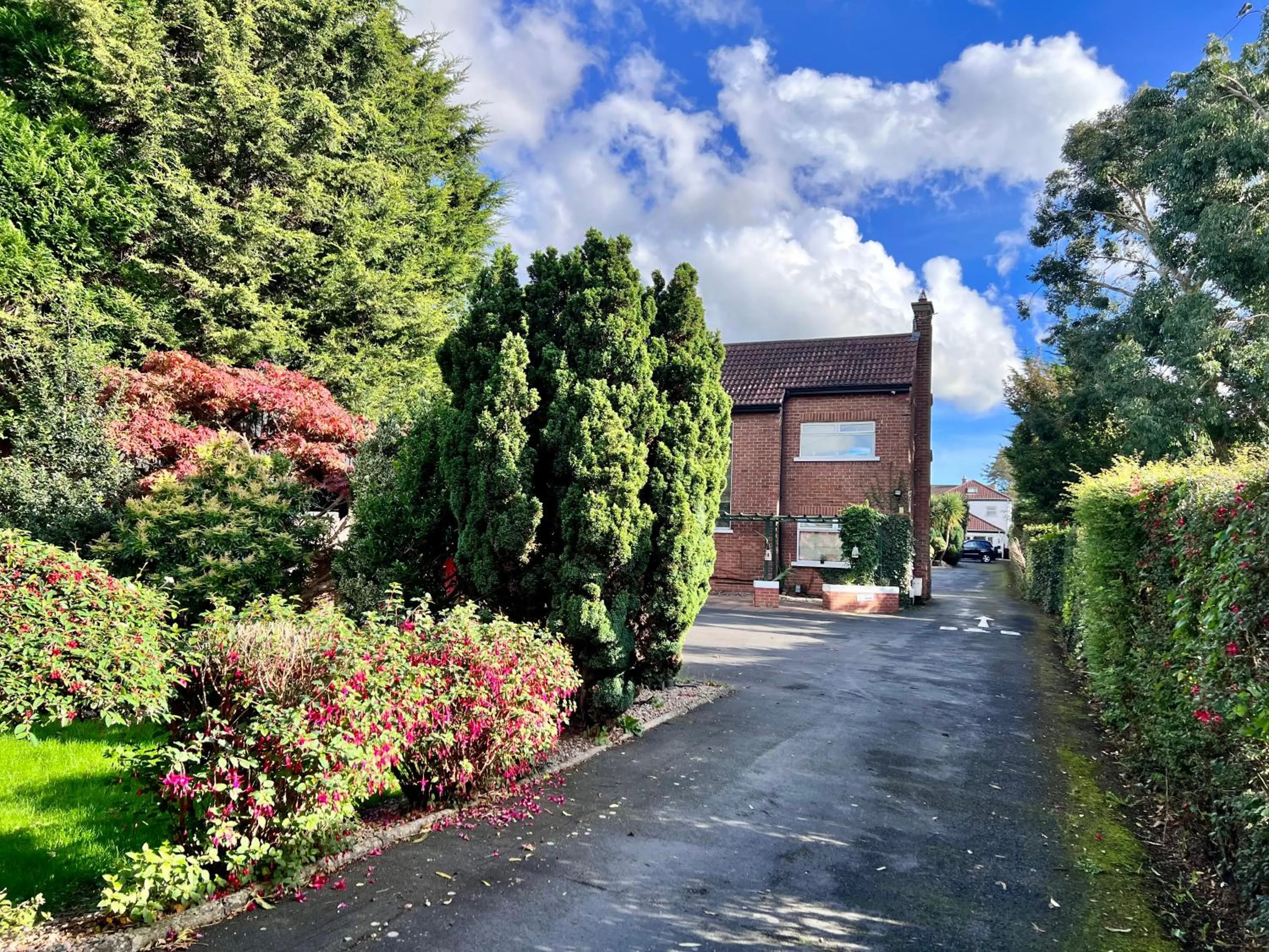 Ashfield Bed & Breakfast