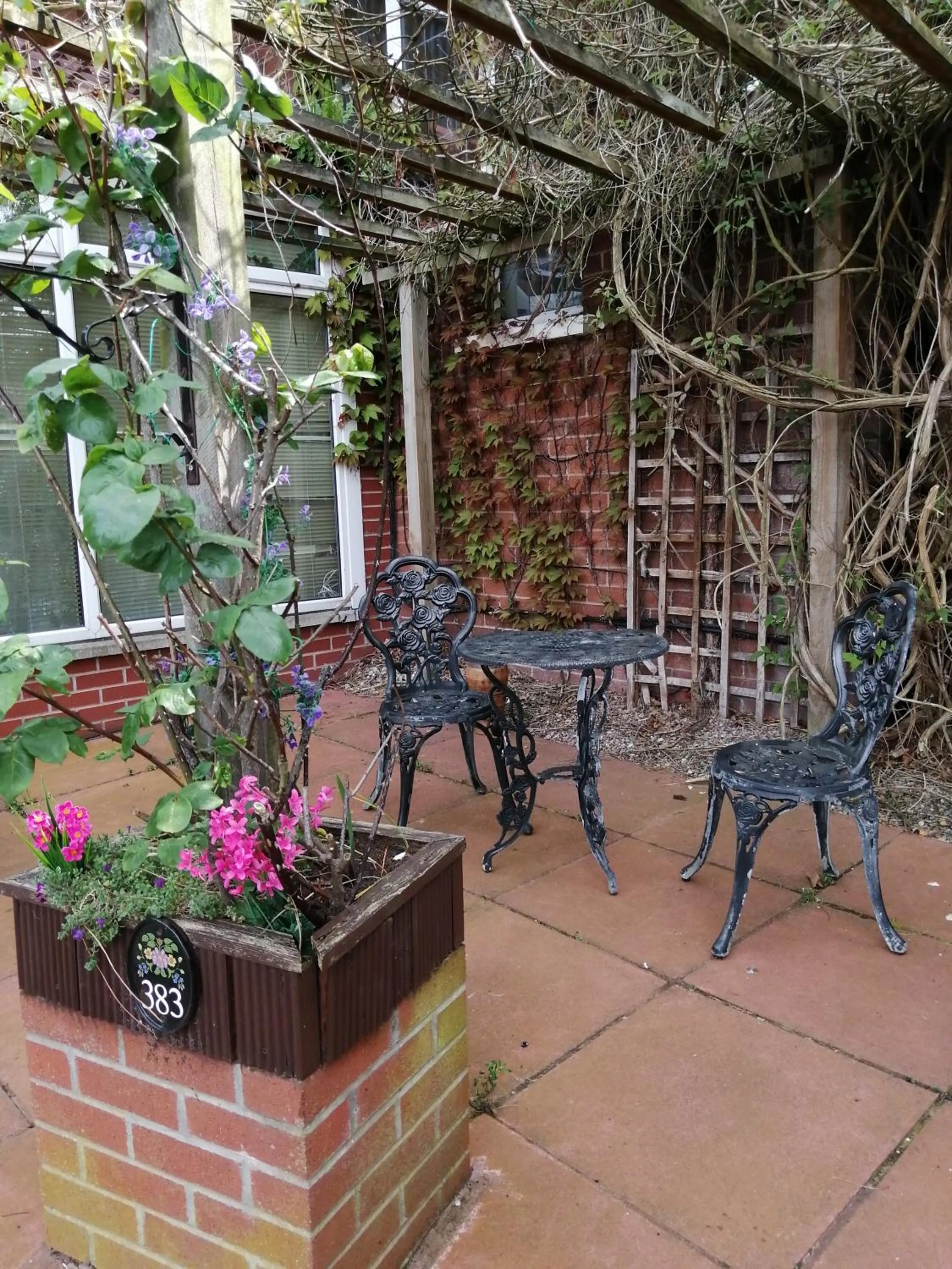 Patio in Ashfield Bed & Breakfast
