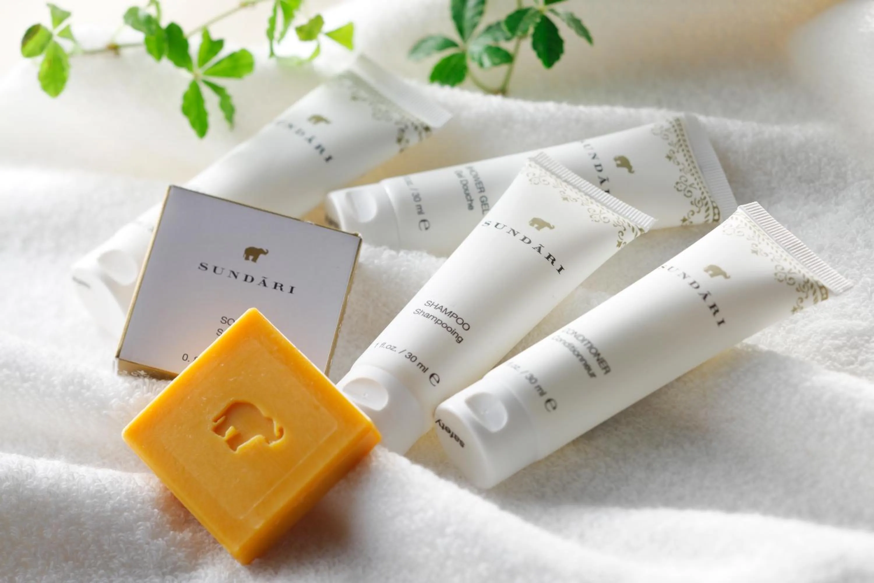 Other in Royton Sapporo Hotel