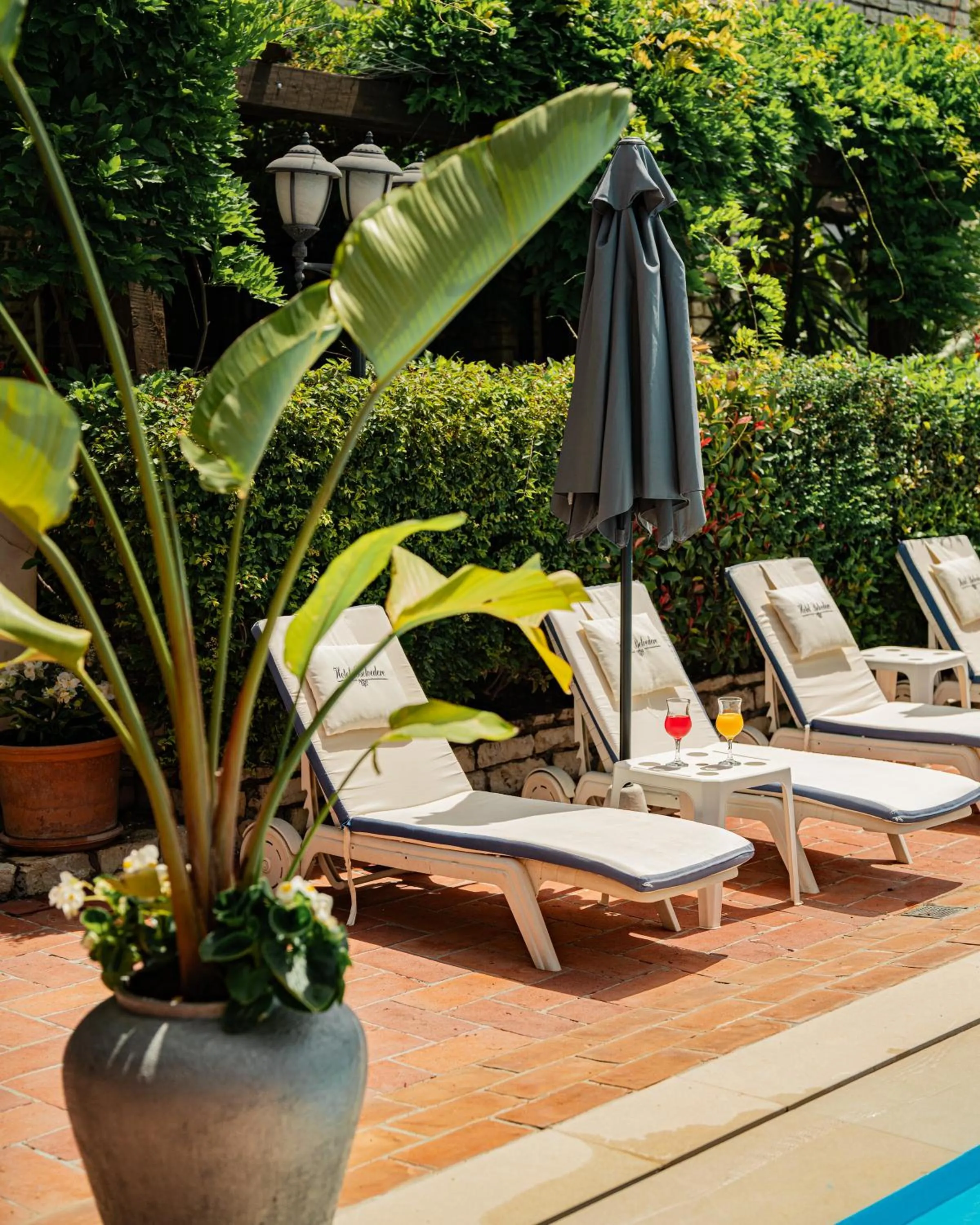 Garden in Vila Belvedere