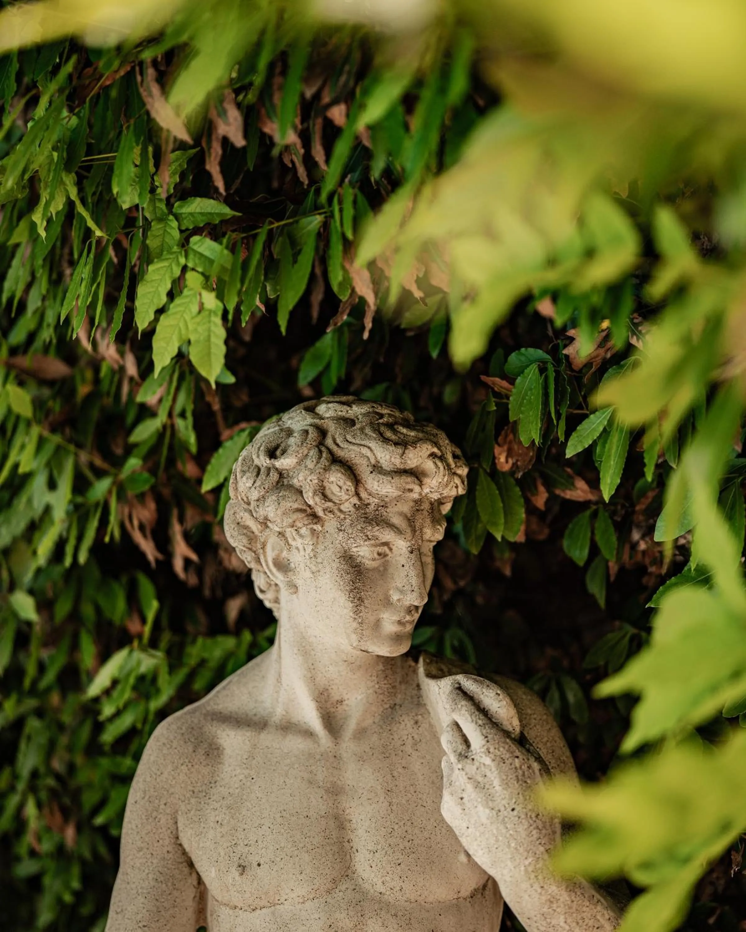 Garden in Vila Belvedere