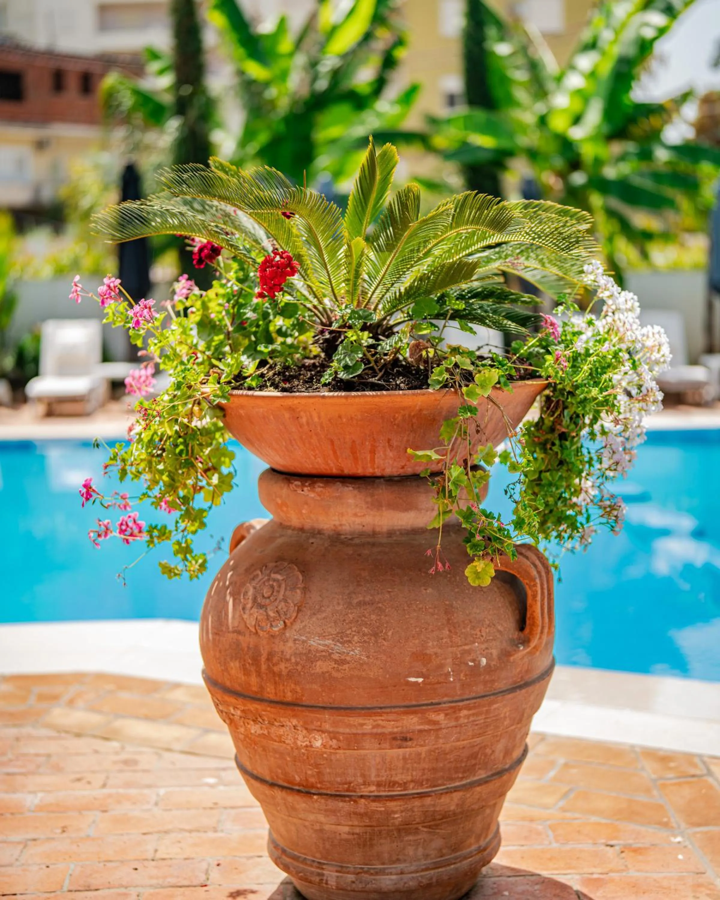 Garden view in Vila Belvedere