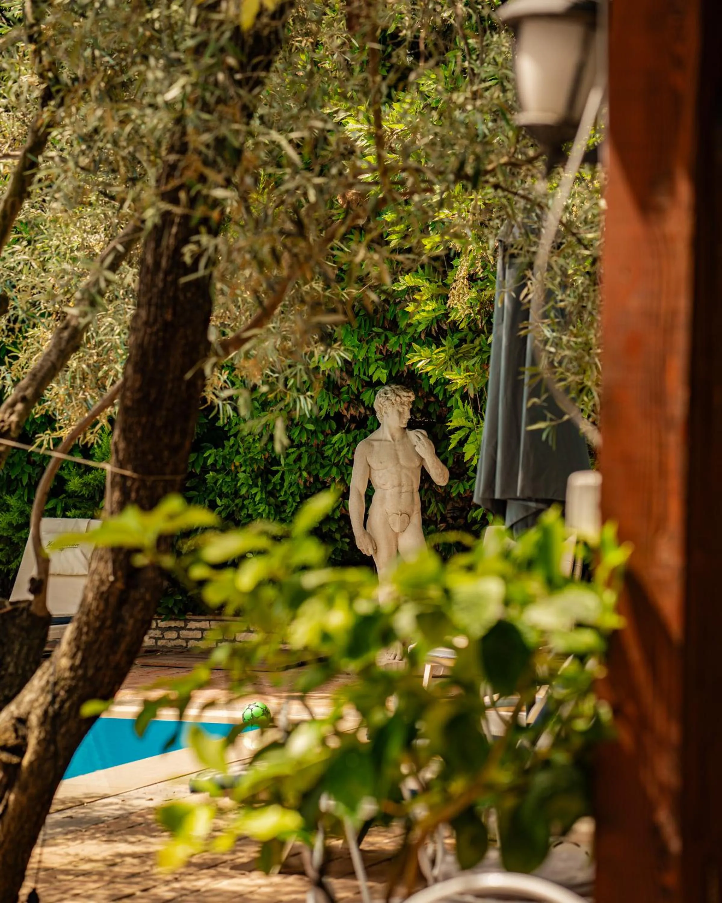 Natural landscape in Vila Belvedere