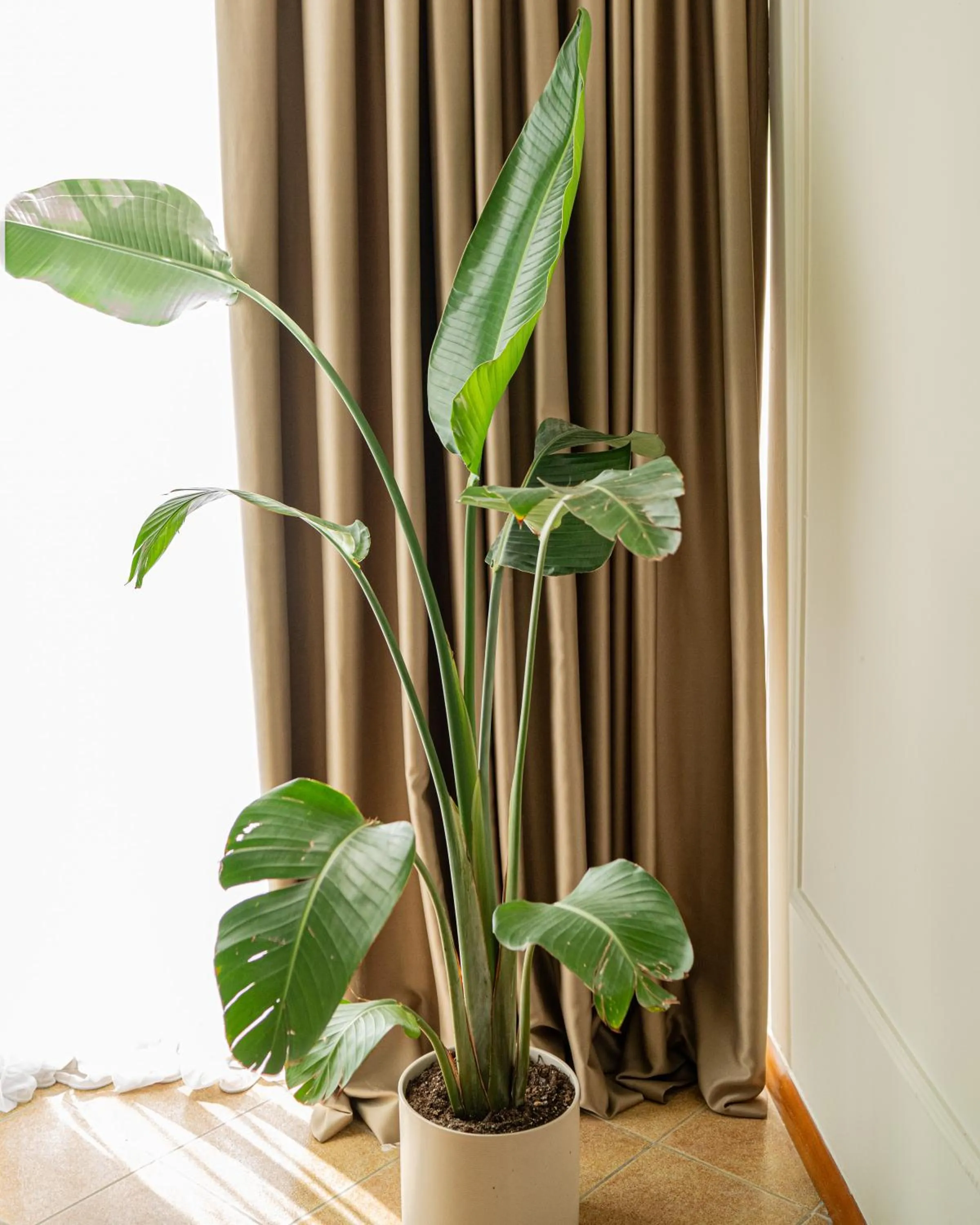 Other in Vila Belvedere