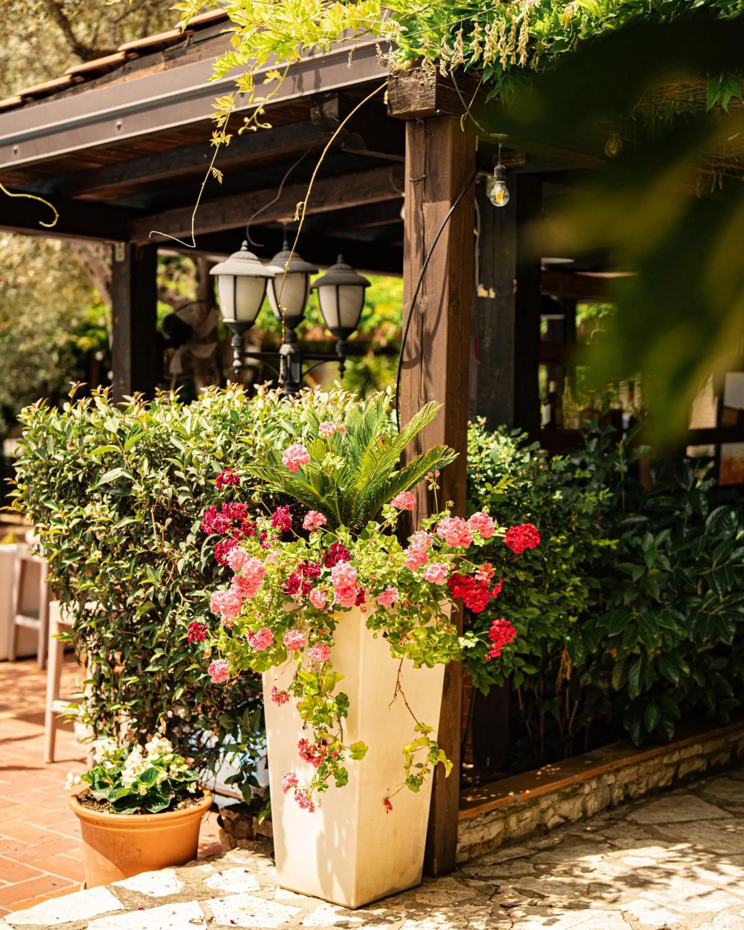 Garden in Vila Belvedere