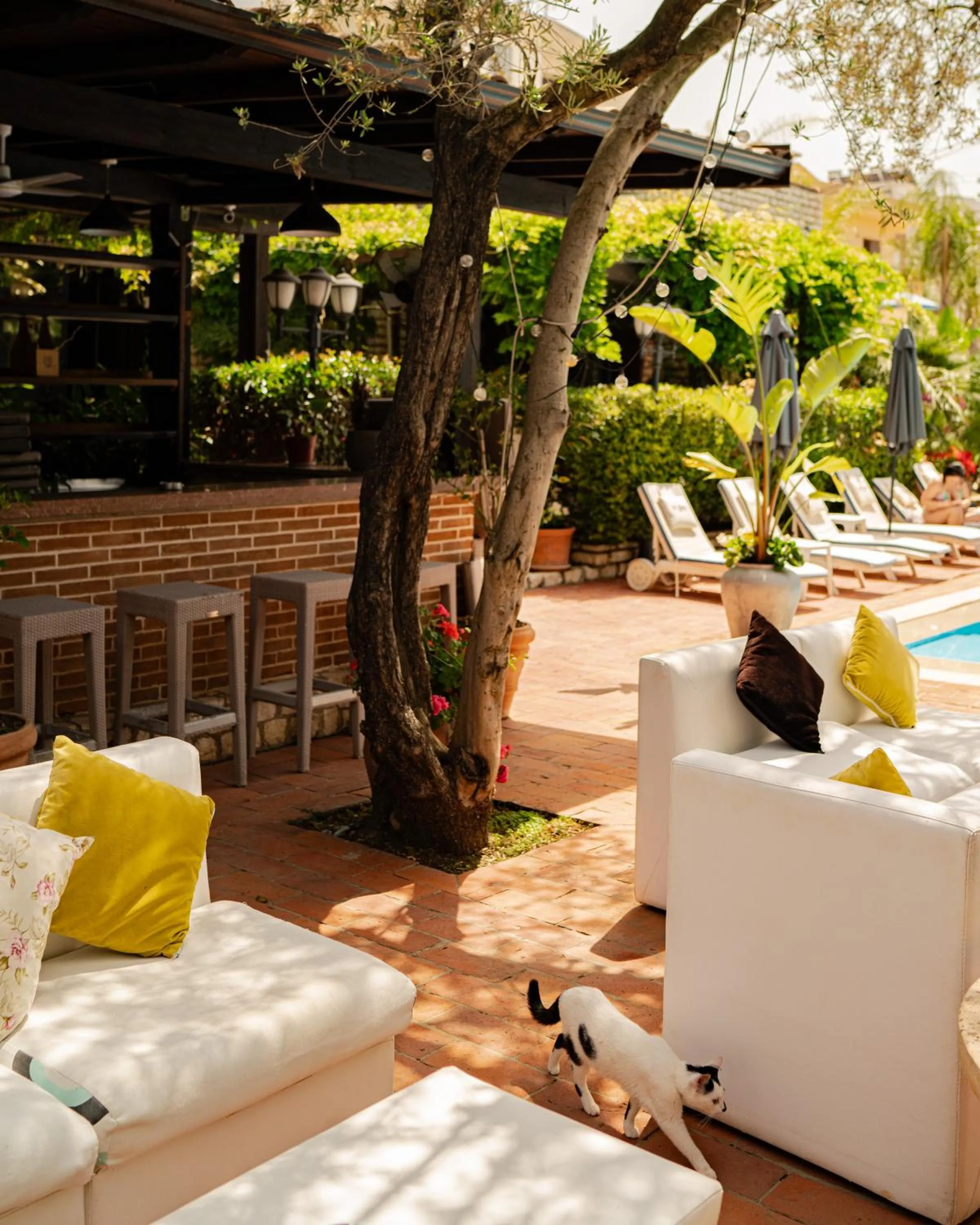 Patio in Vila Belvedere