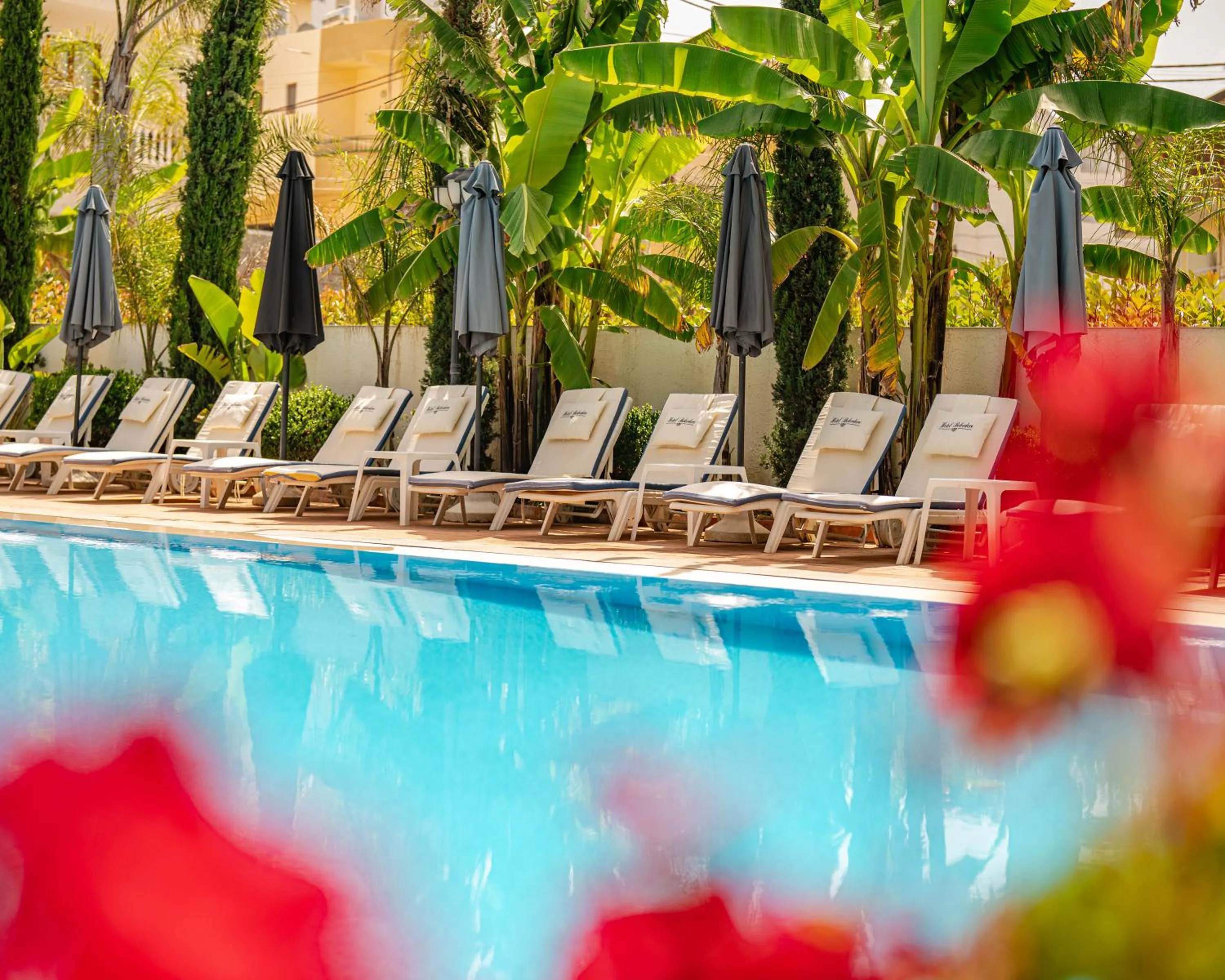 Garden view in Vila Belvedere