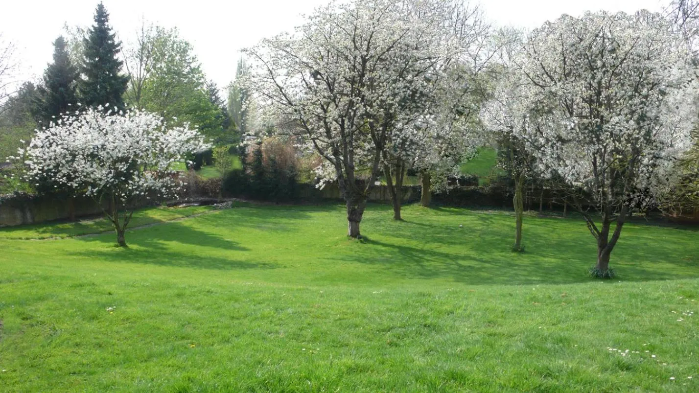 Garden in Hotel Villa Falkenberg
