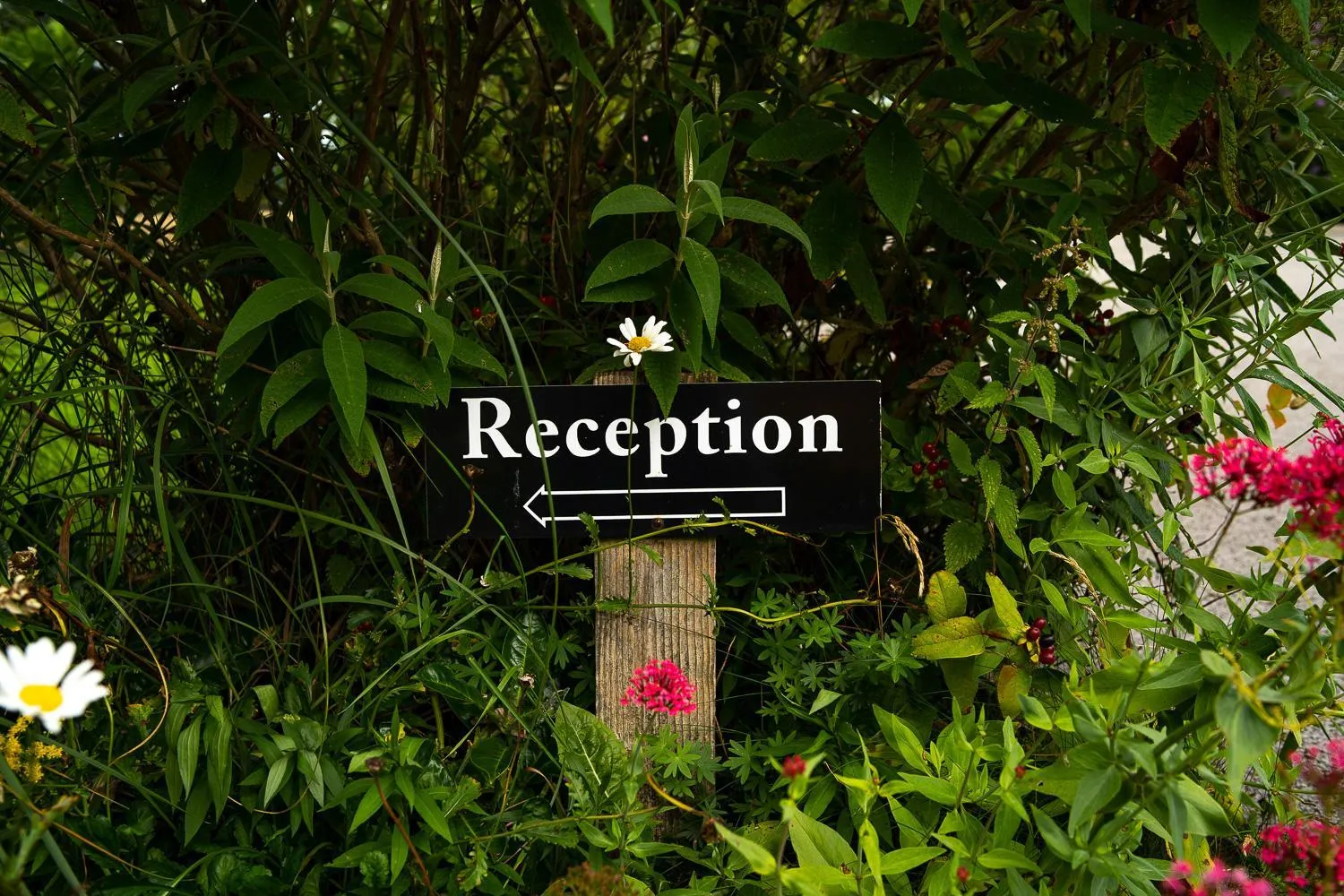 Property building in Higher Farm