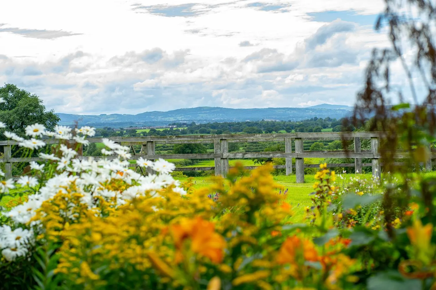 Property building in Higher Farm