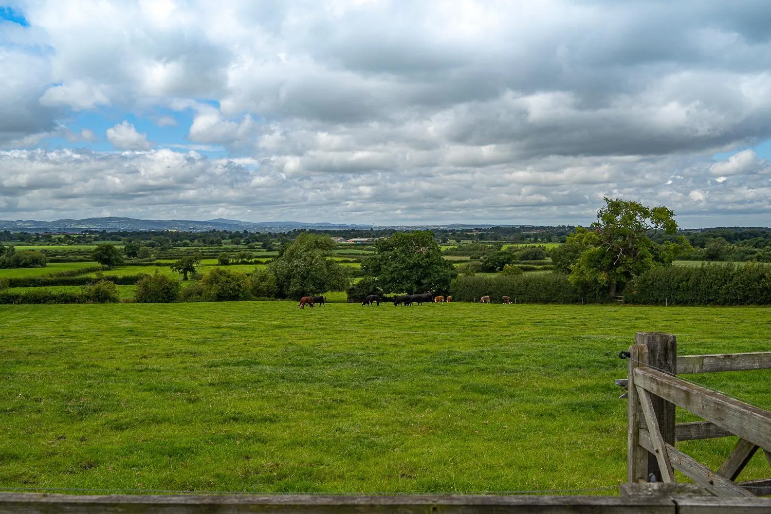 Property building in Higher Farm