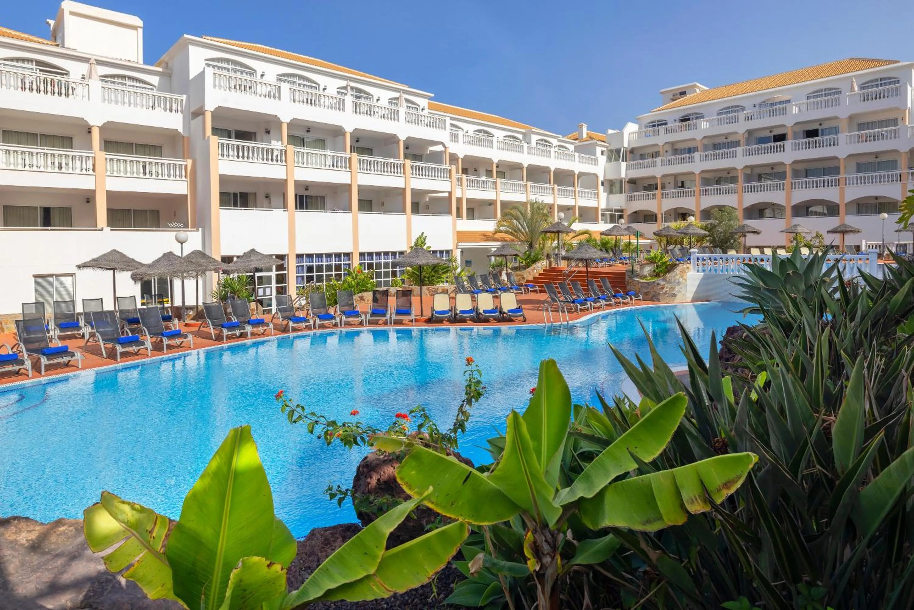 Swimming pool in whala!tenerife