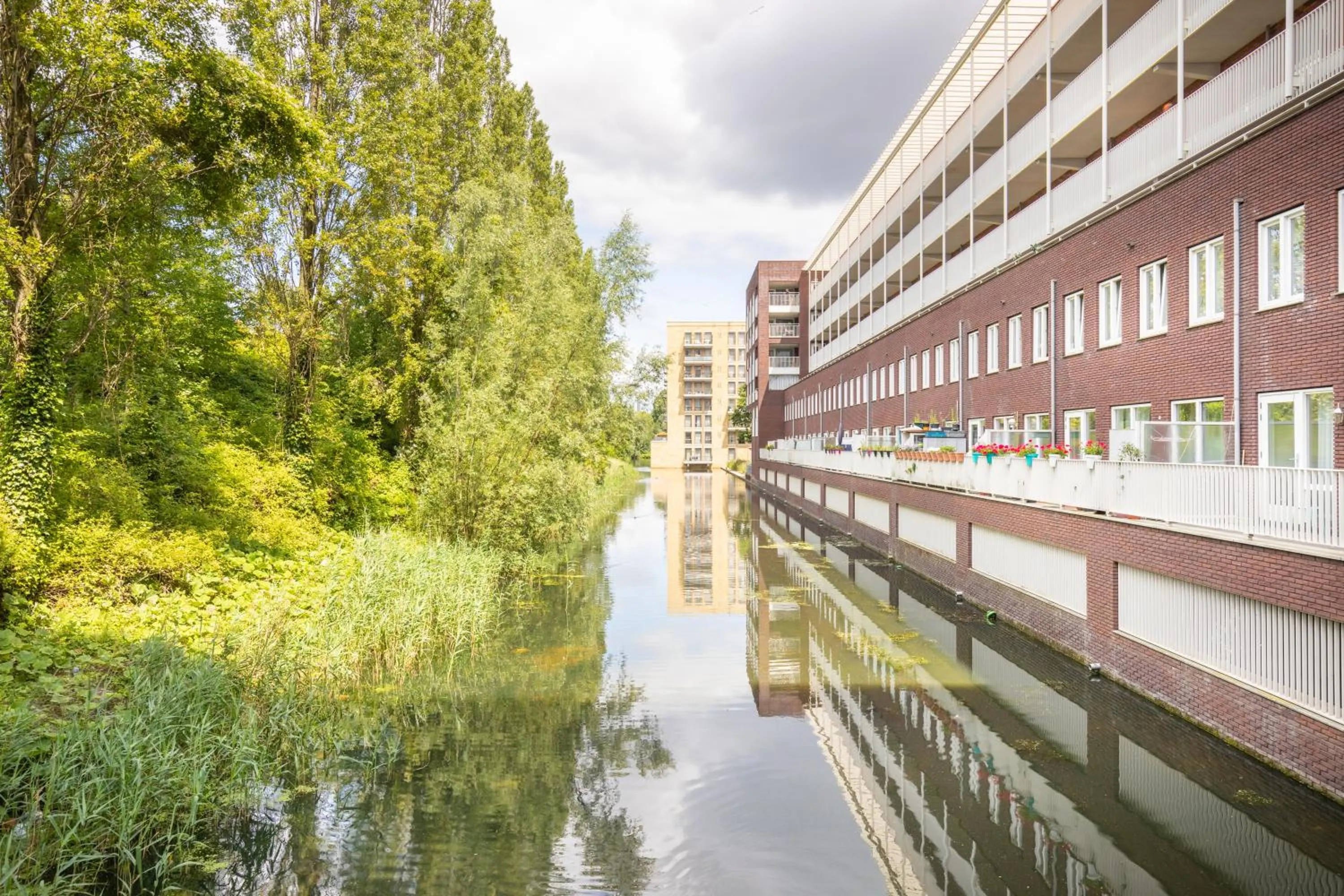 Neighbourhood in Hotel New Kit