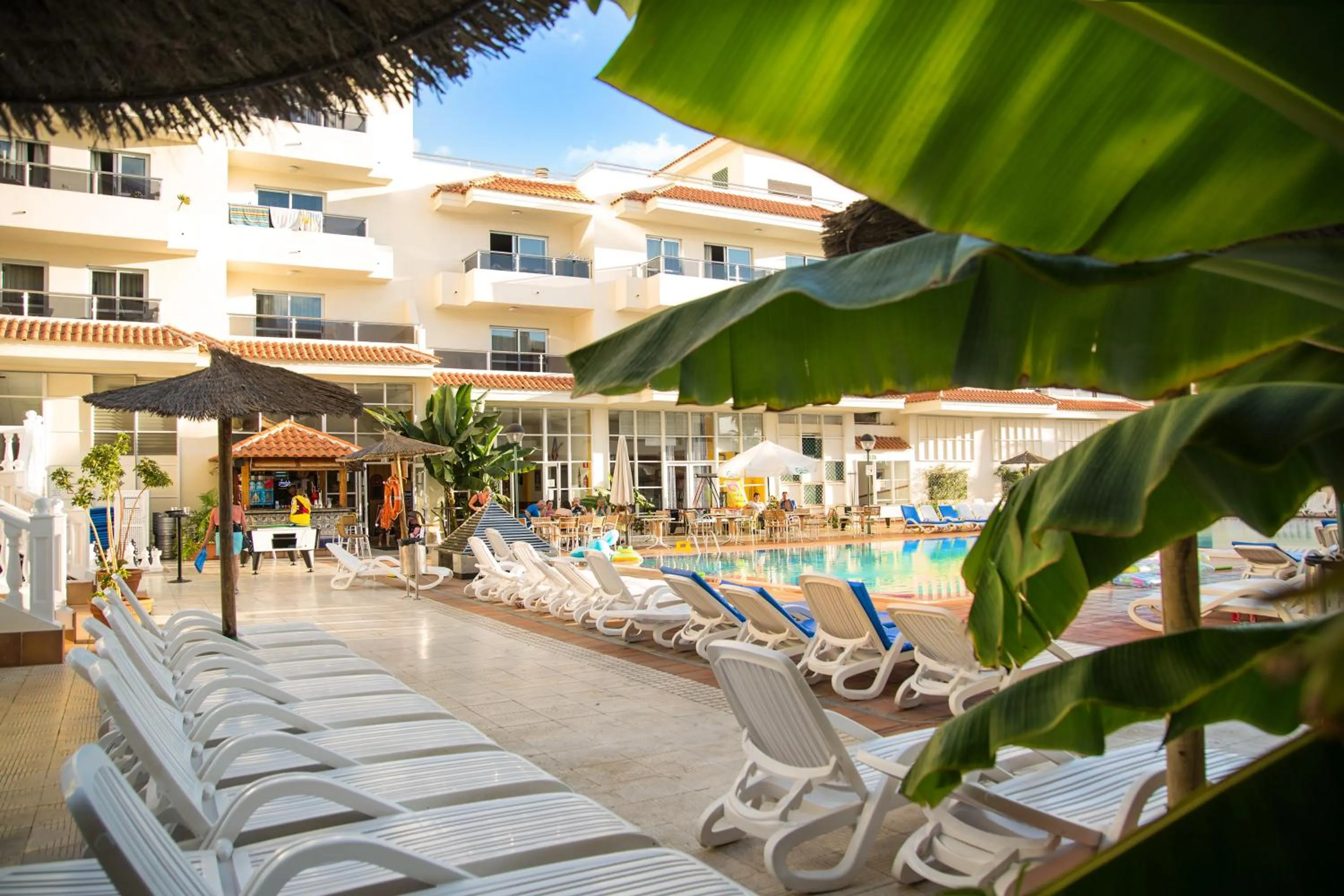 Balcony/Terrace, Swimming Pool in Apartamentos Oro Blanco