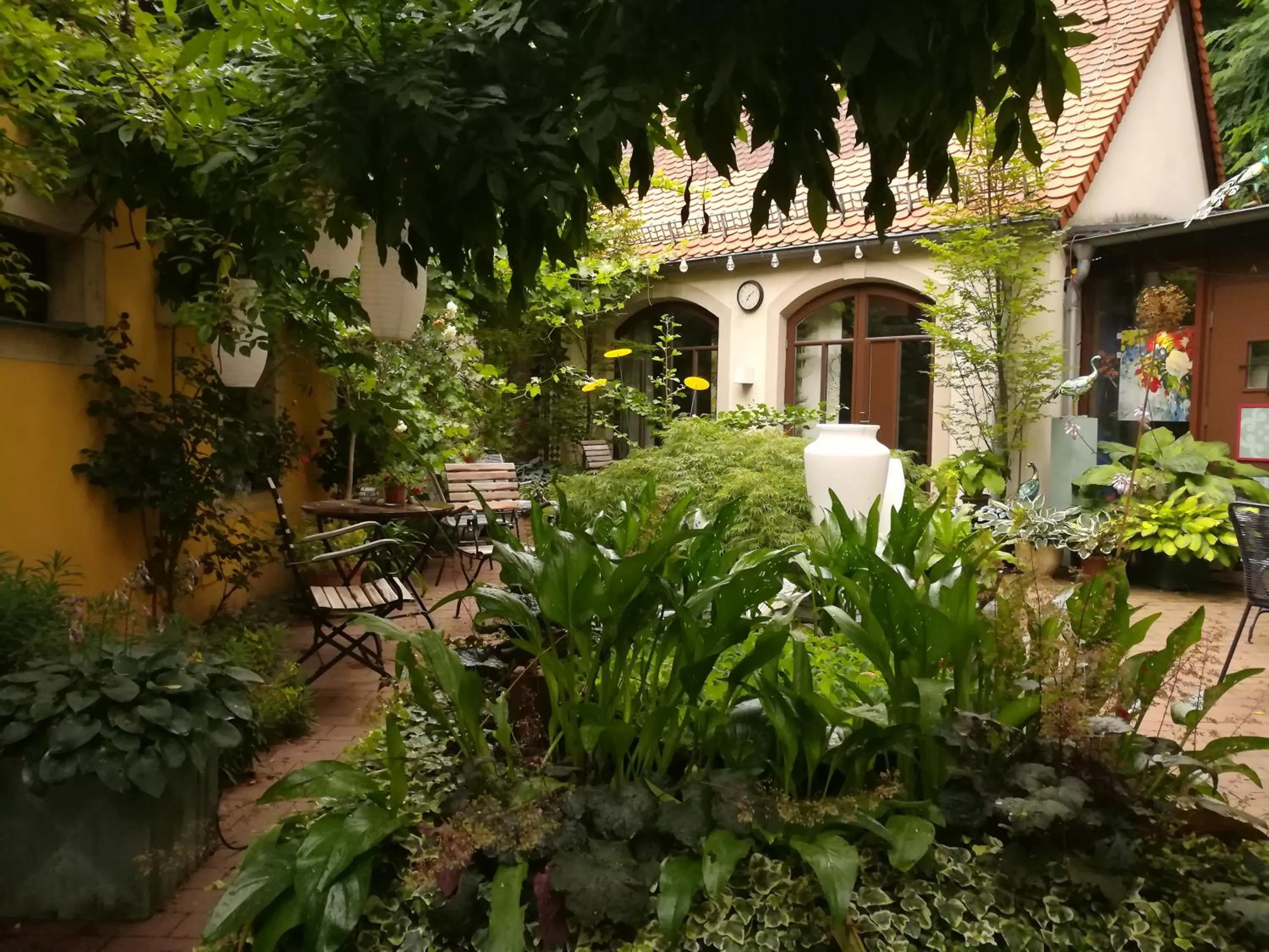 Garden in Fährhaus Meißen B&B