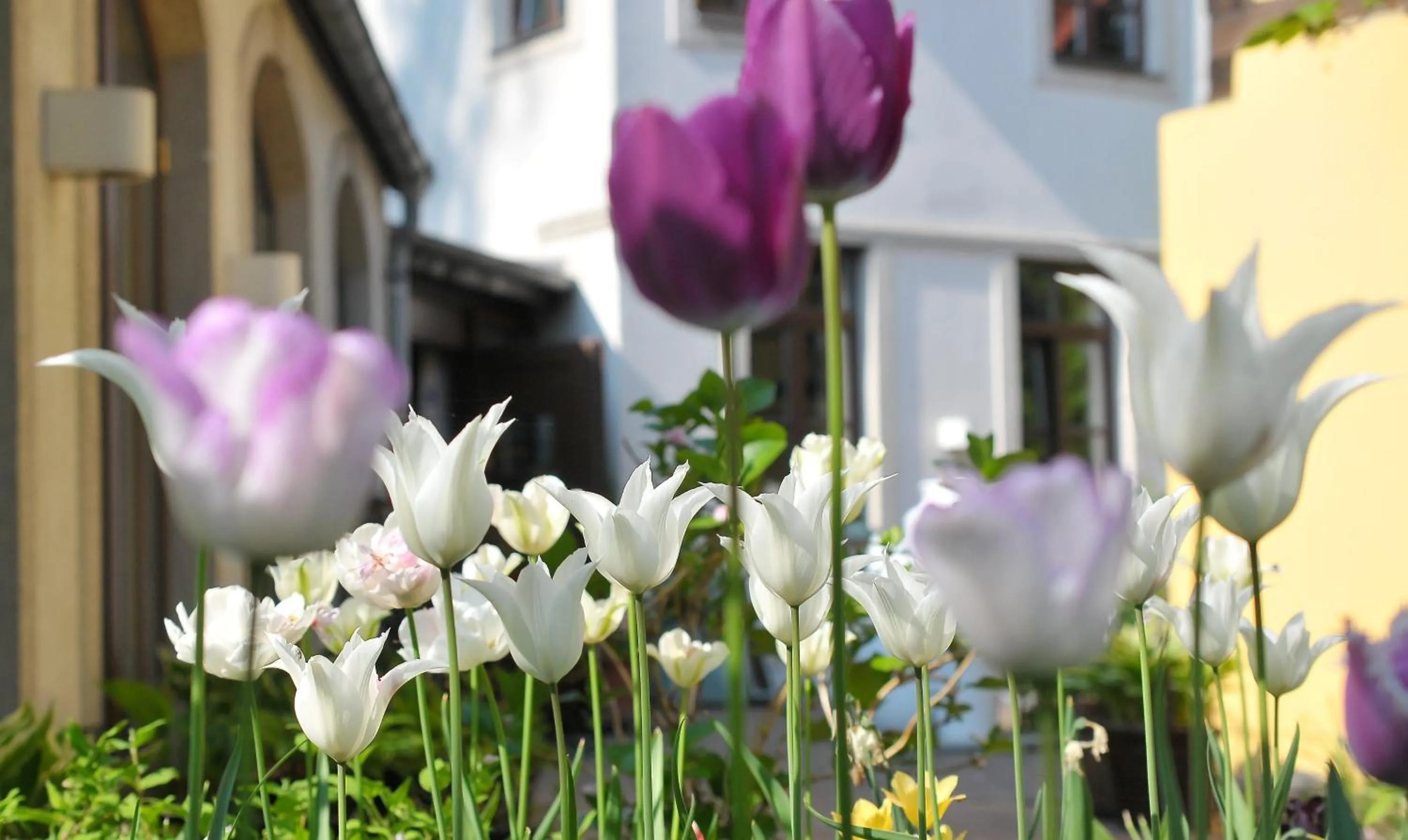 Spring in Fährhaus Meißen B&B