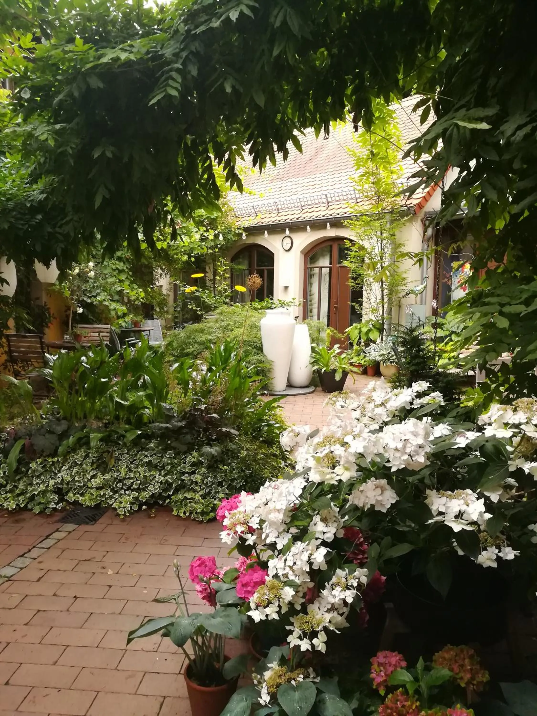 Garden in Fährhaus Meißen B&B