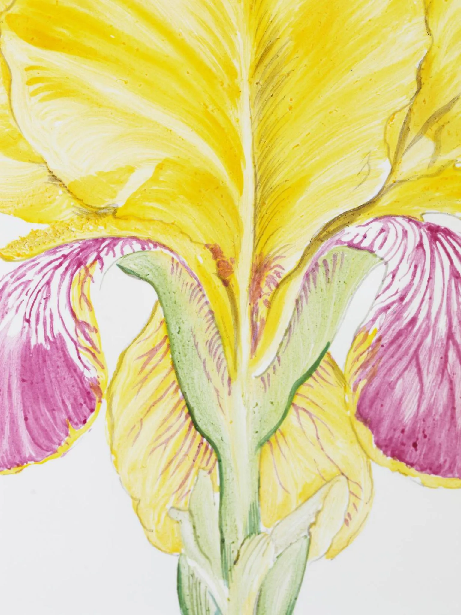 Fährhaus Meißen B&B