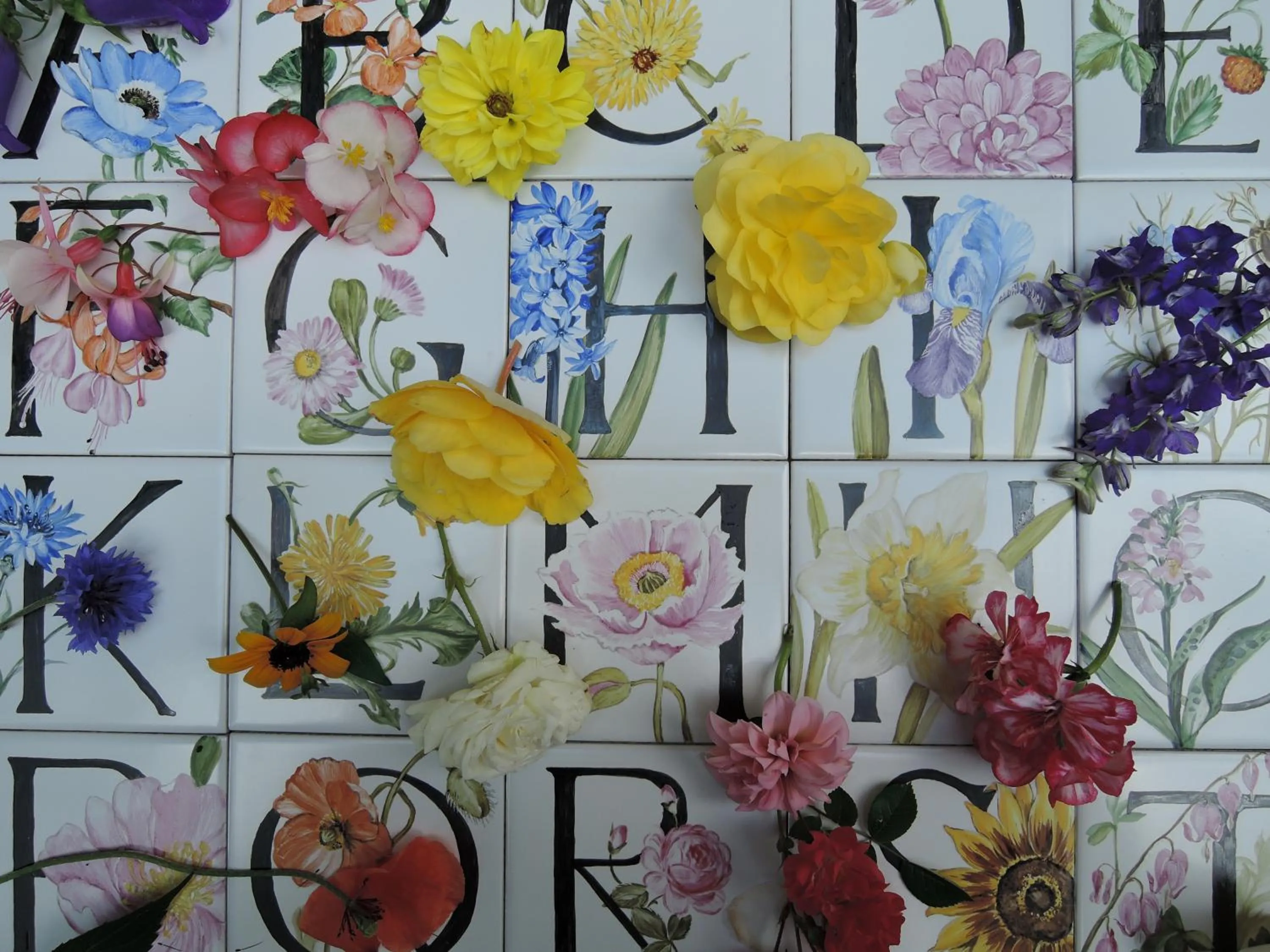 Other in Fährhaus Meißen B&B