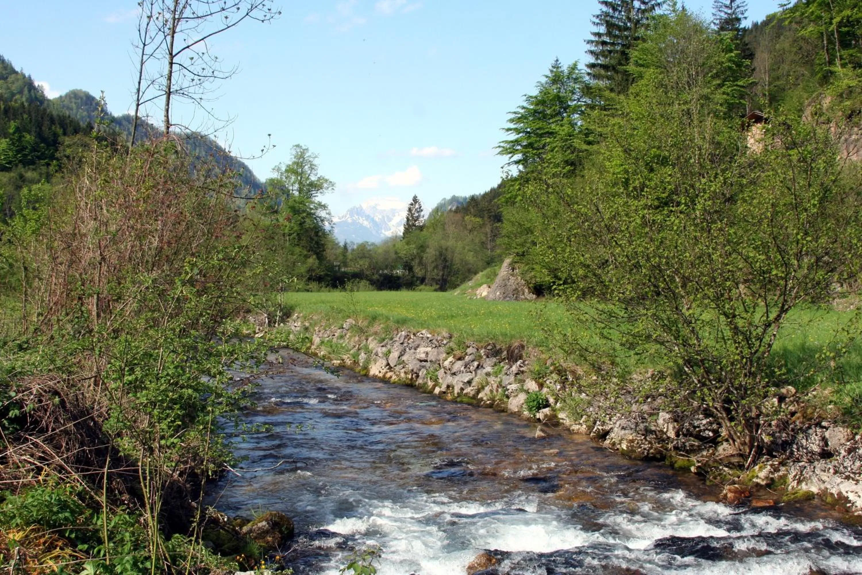 Area and facilities in Alpenhotel Ensmann