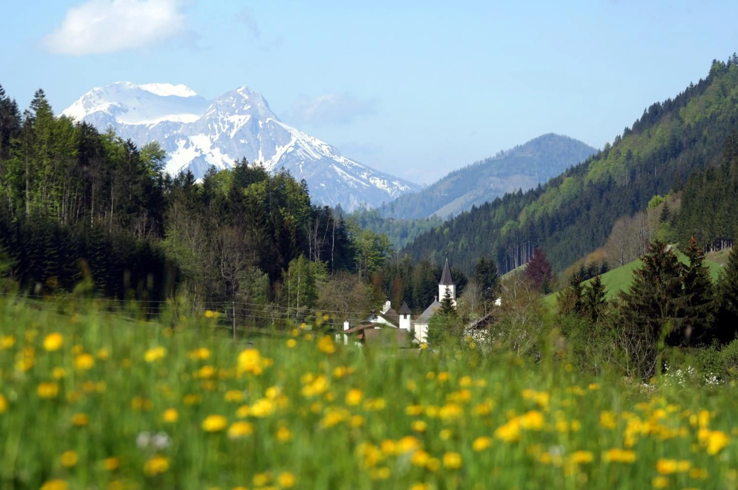 Natural landscape in Alpenhotel Ensmann