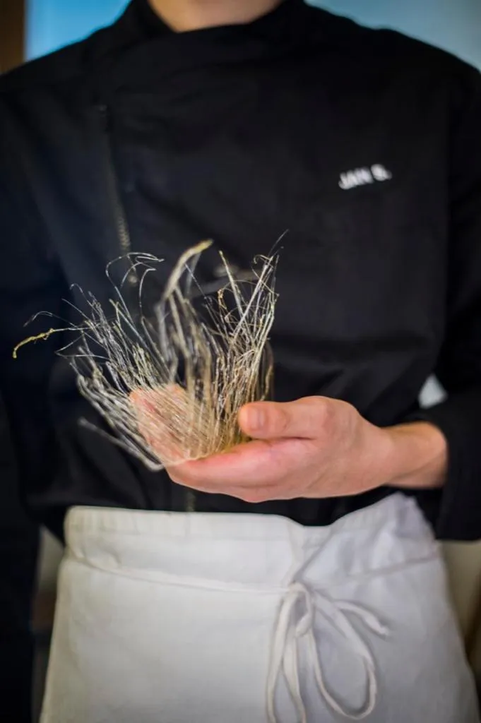 Food and drinks in Hotel Cevedale