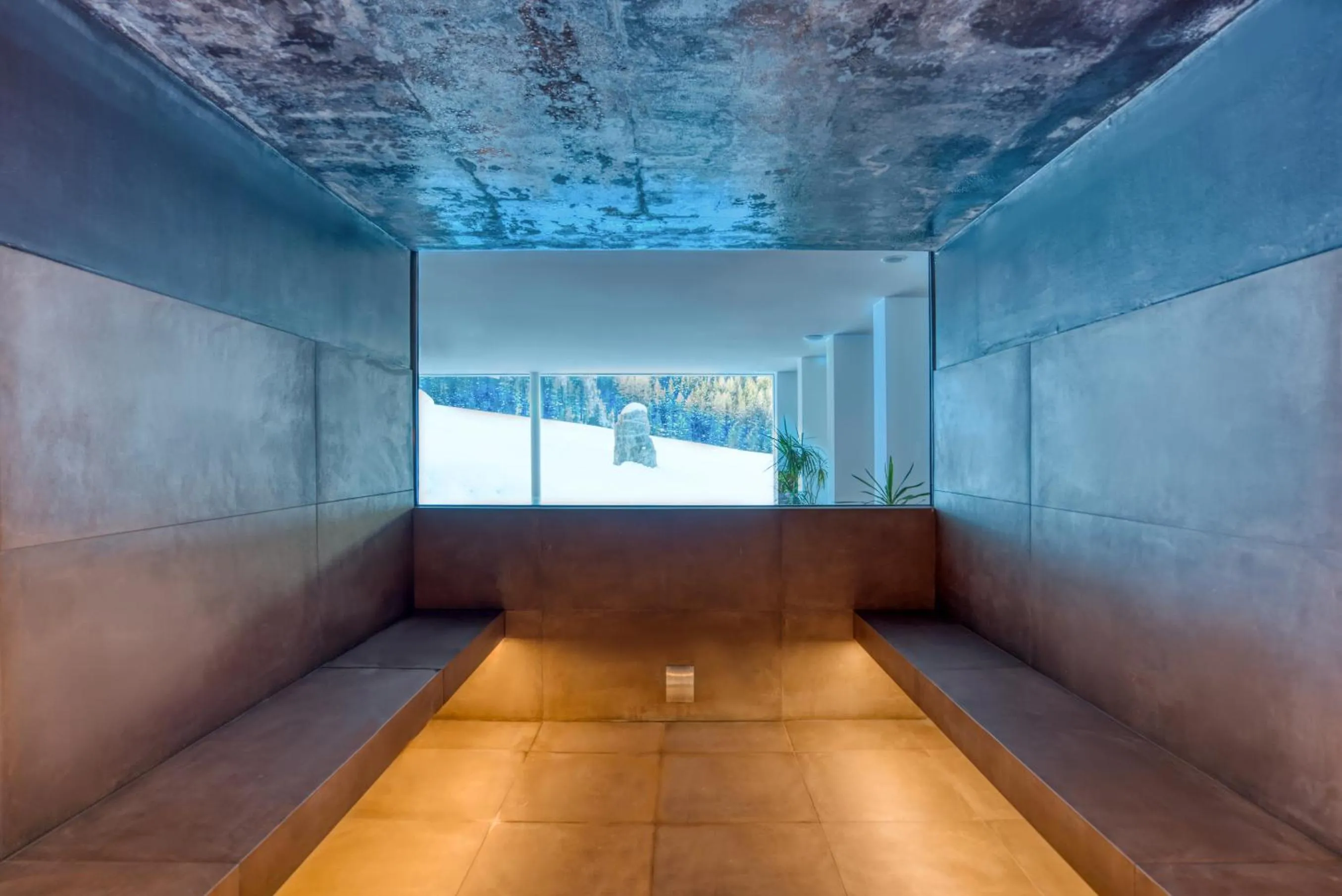 Spa and wellness centre/facilities in Hotel Cevedale