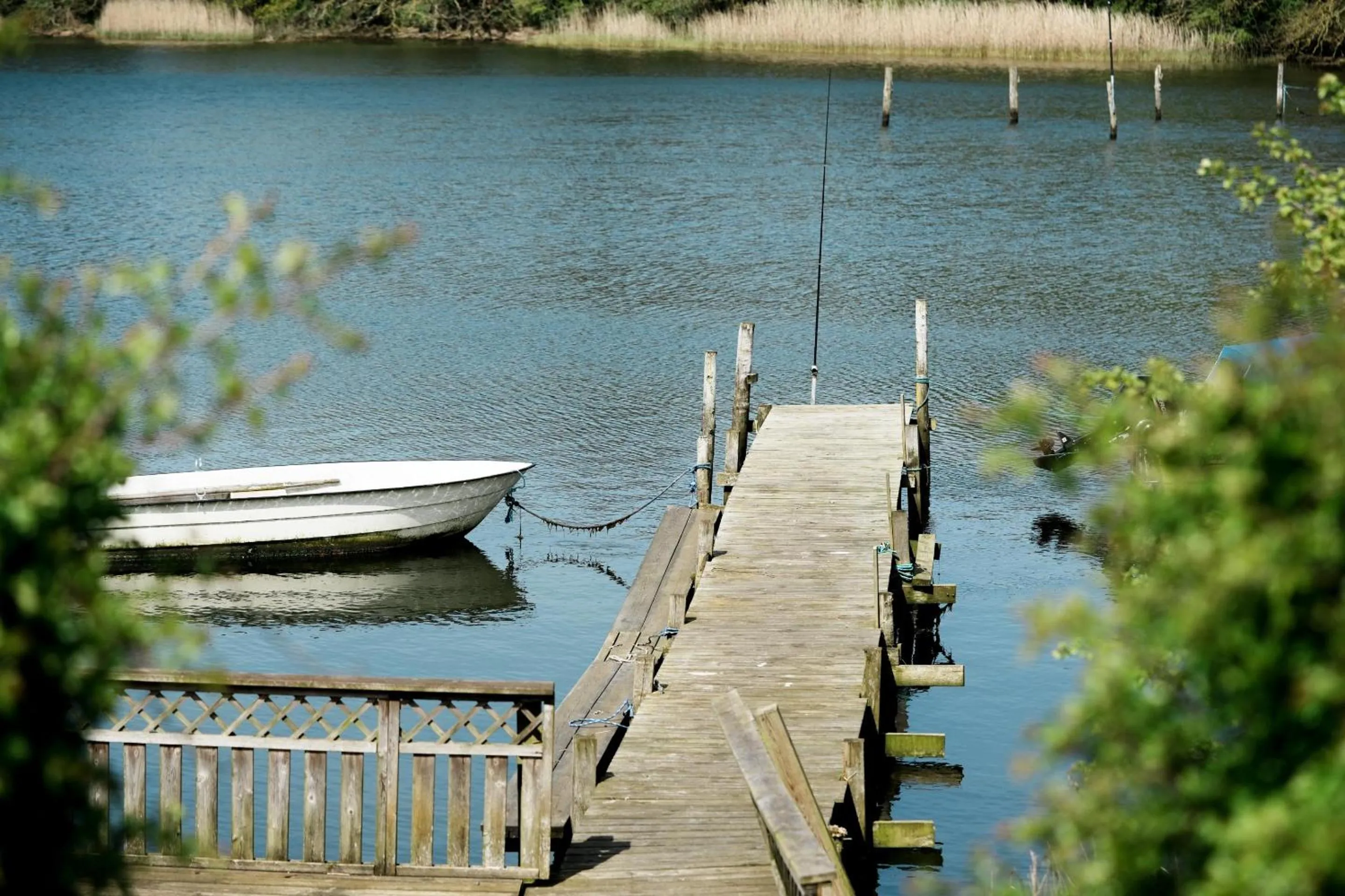 Natural landscape in Hotel Nørherredhus
