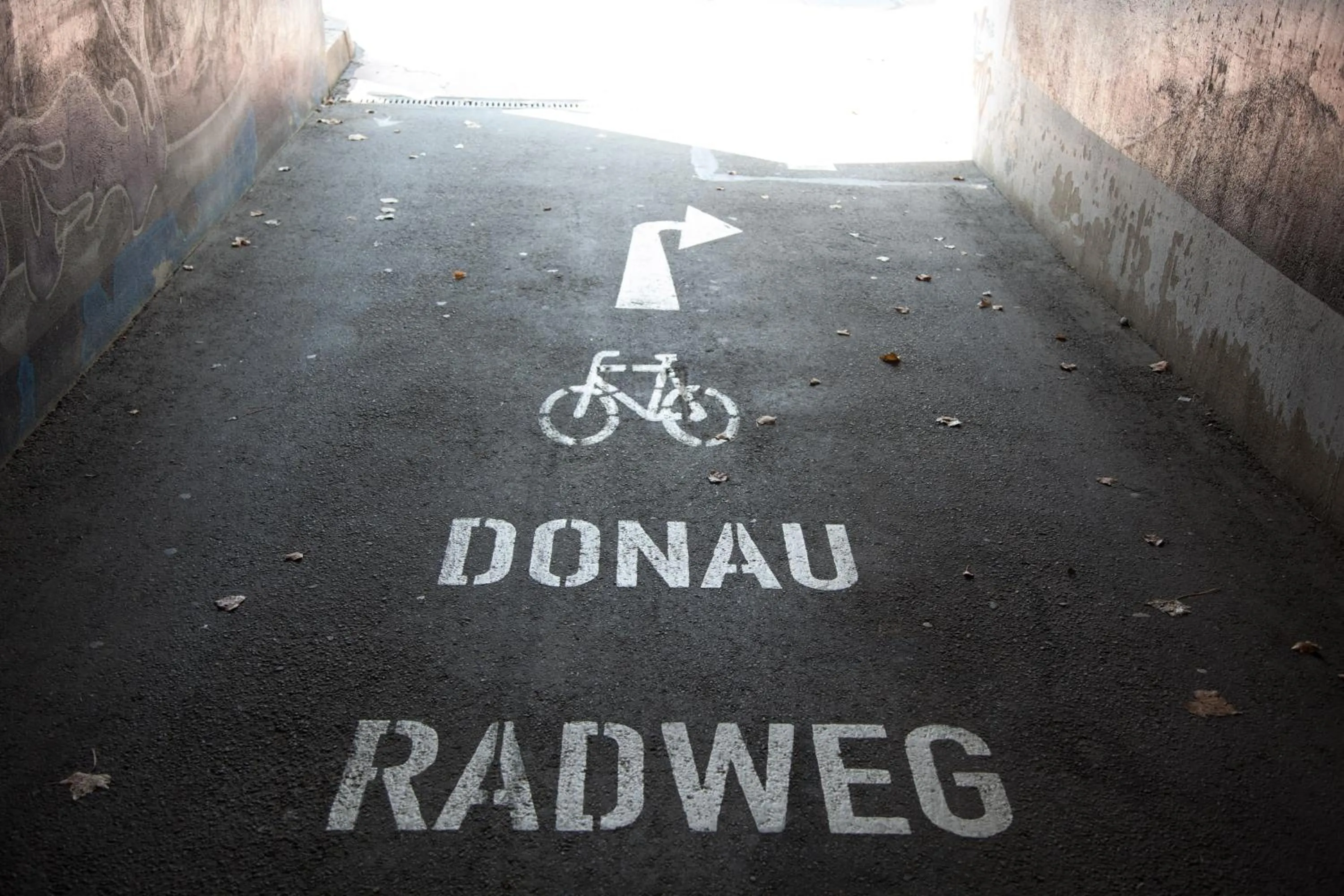 Area and facilities in Rotel Inn