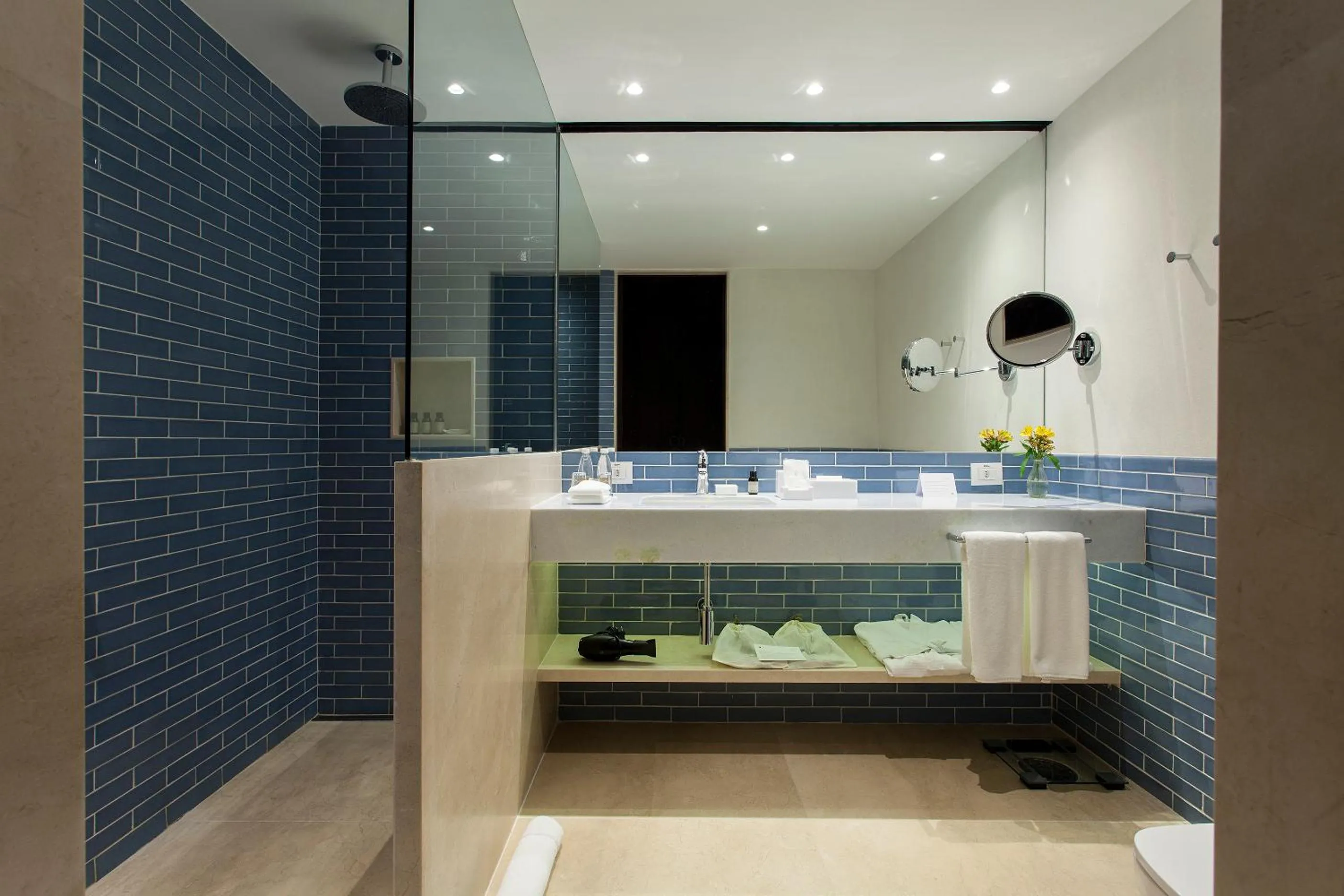 Shower in Hotel Fasano Salvador