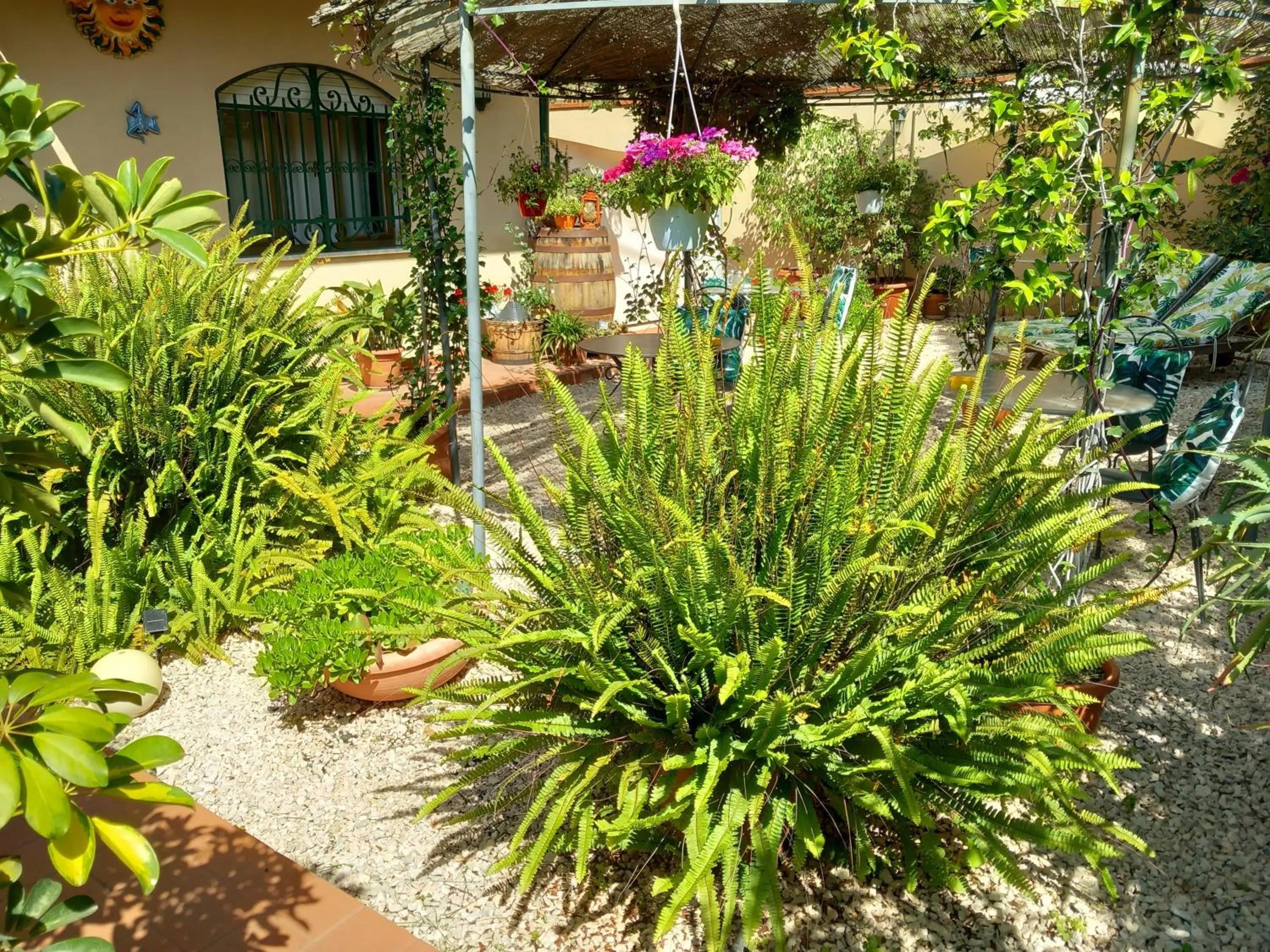 Garden in Bed and Breakfast Rosangela