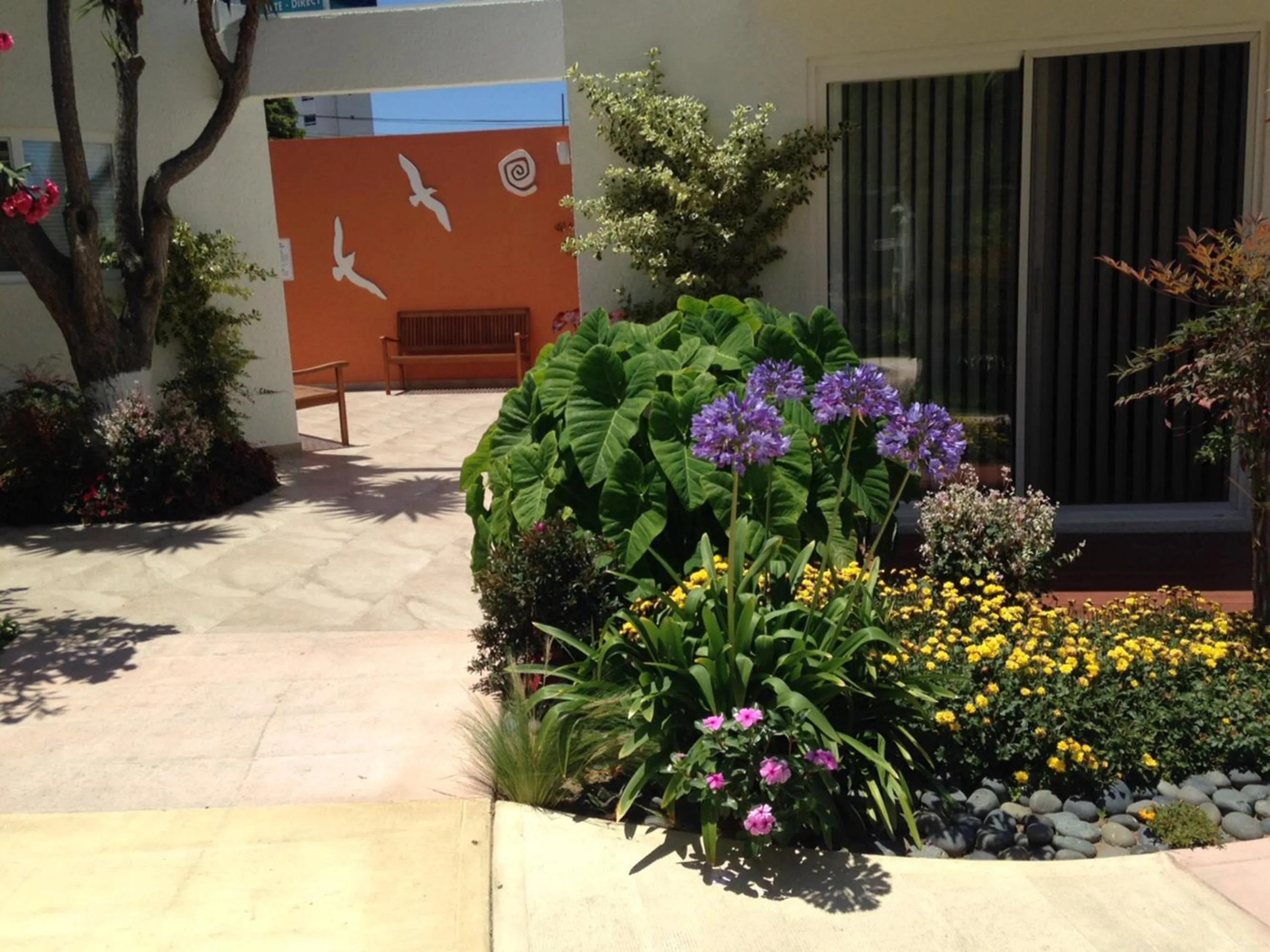 Patio in Dali Suites -Accommodations in Playas de Tijuana