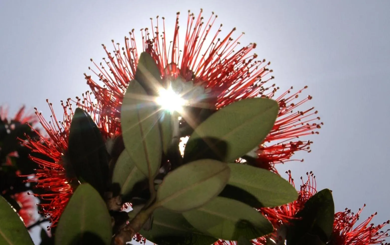 Day in The Retreat Bay of Islands