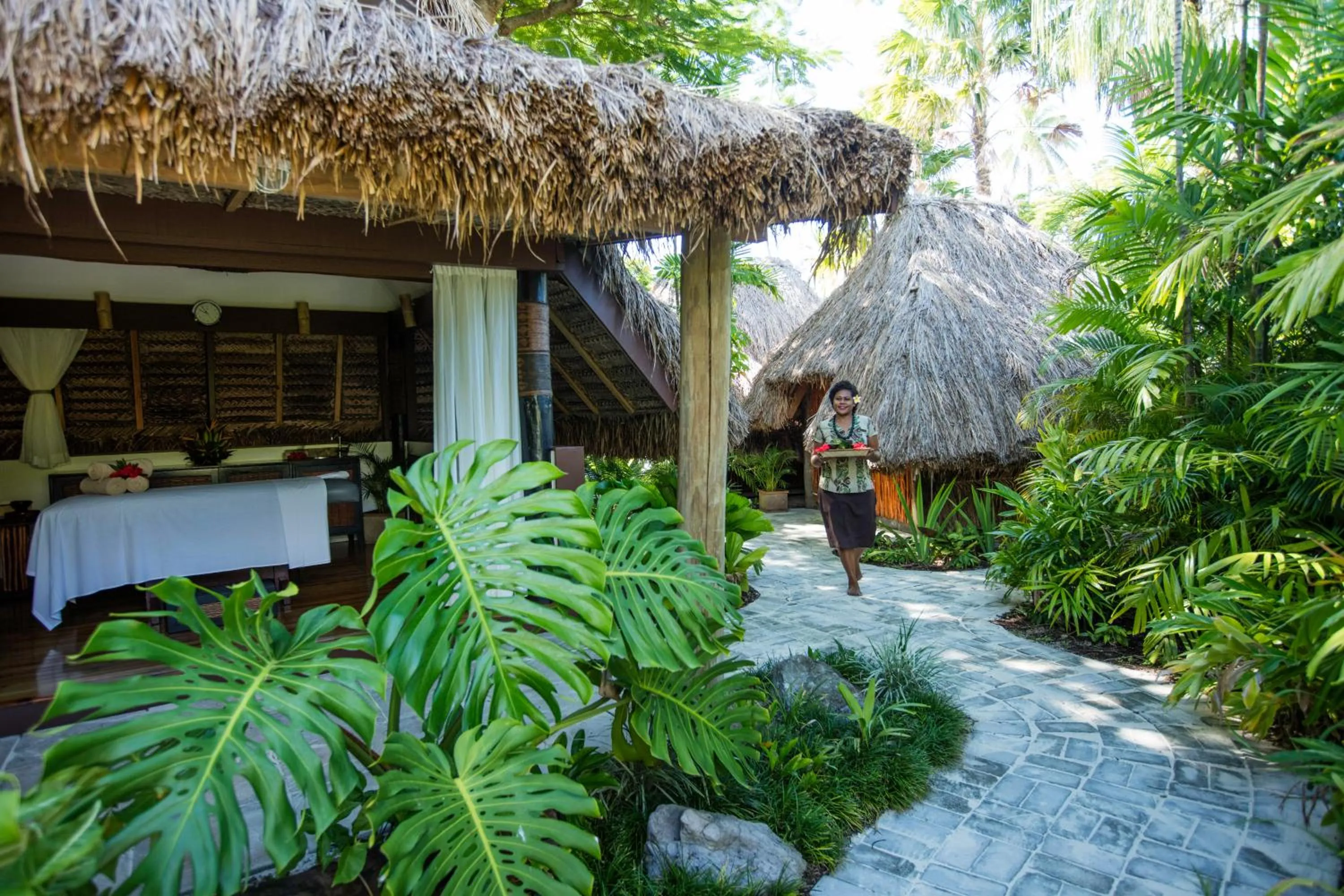 Garden in Castaway Island, Fiji
